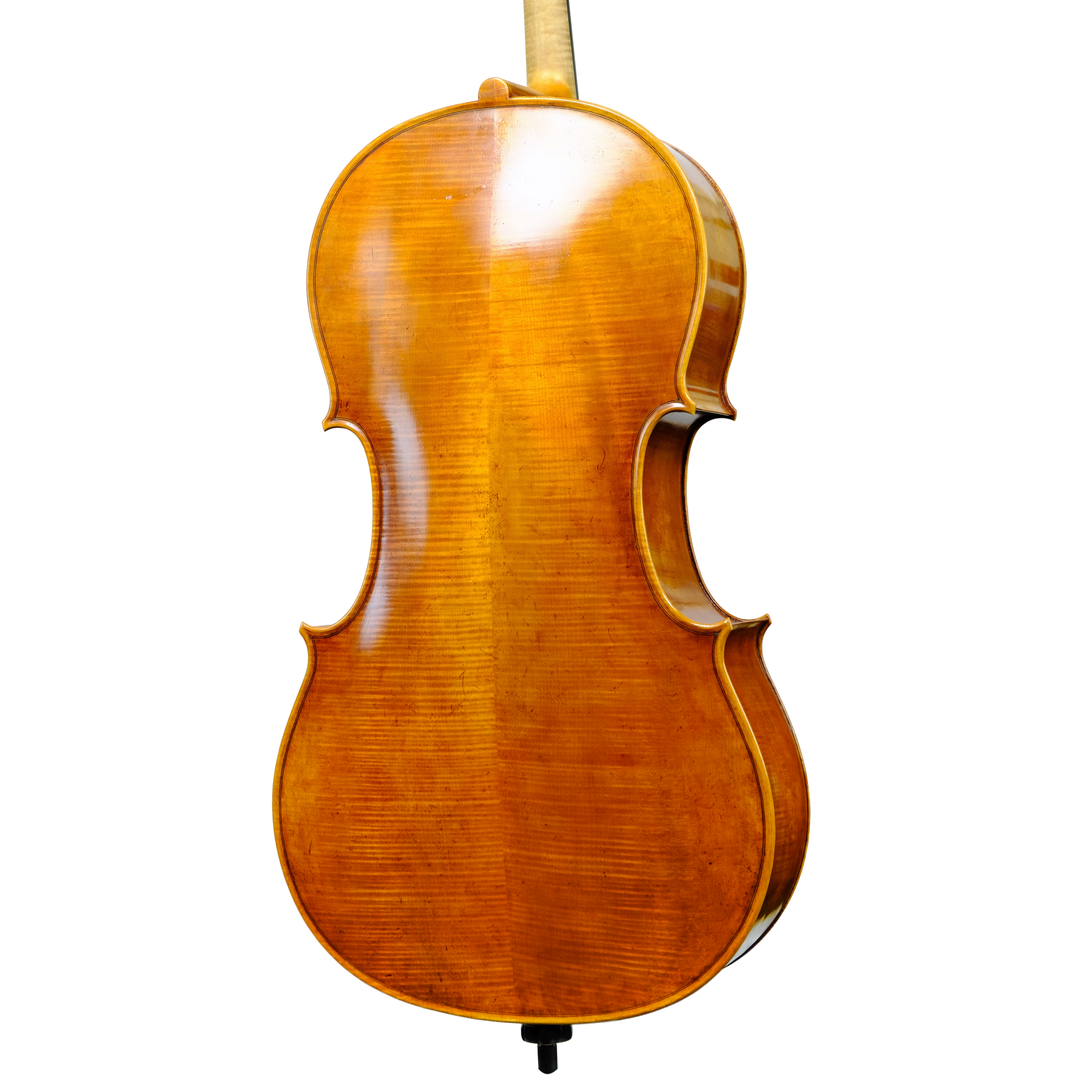 Cello - Enrico Bertoncini, Cremona