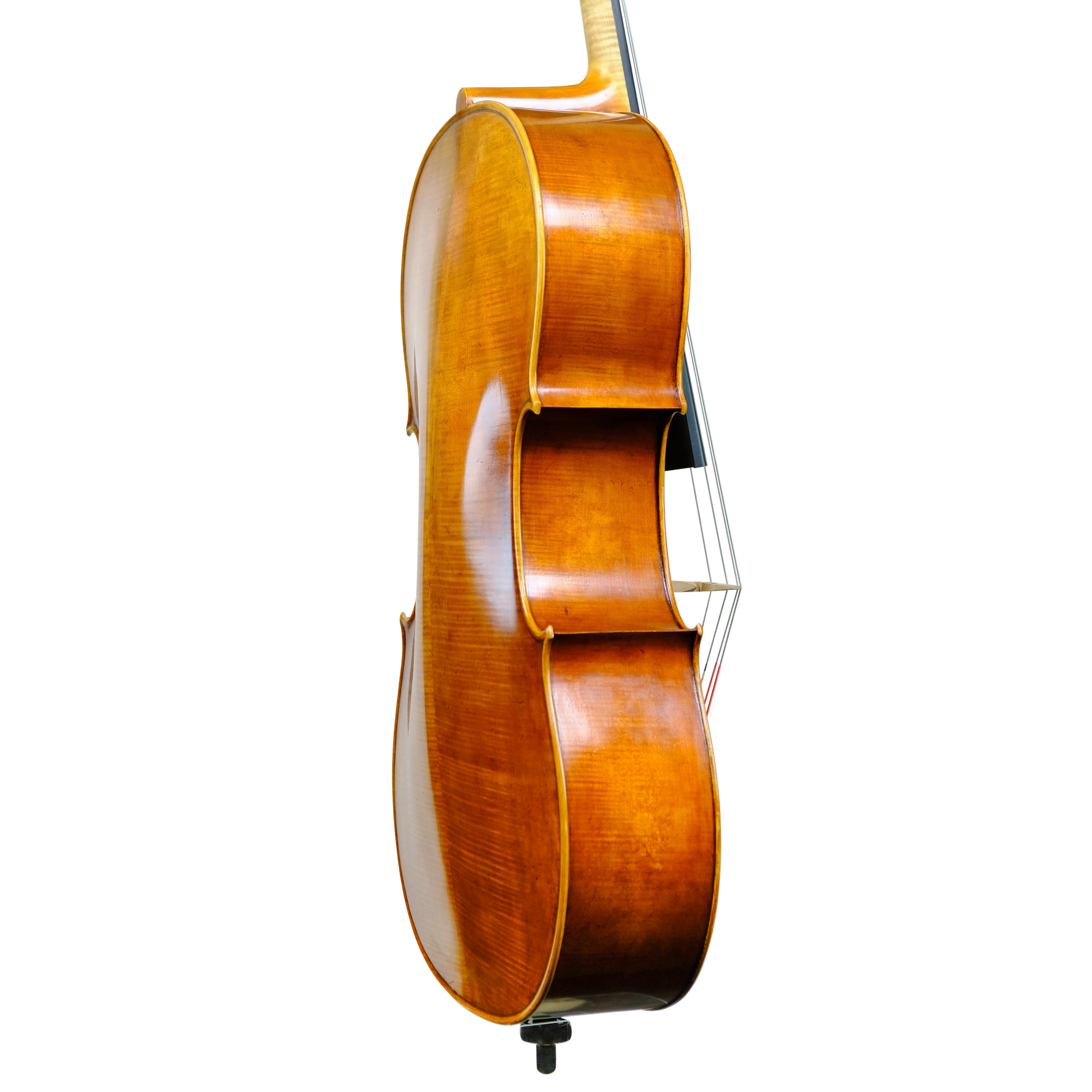 Cello - Enrico Bertoncini, Cremona