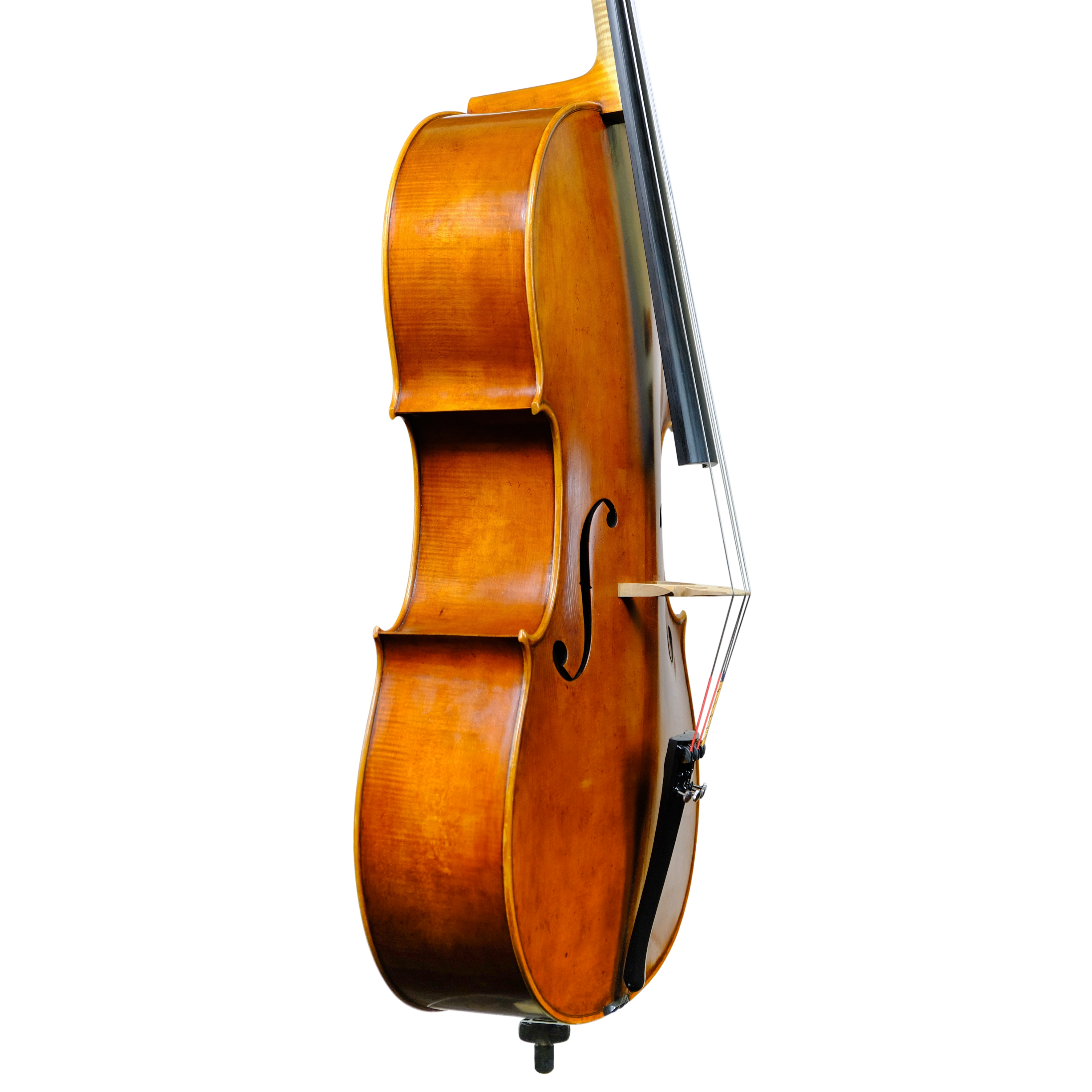 Cello - Enrico Bertoncini, Cremona