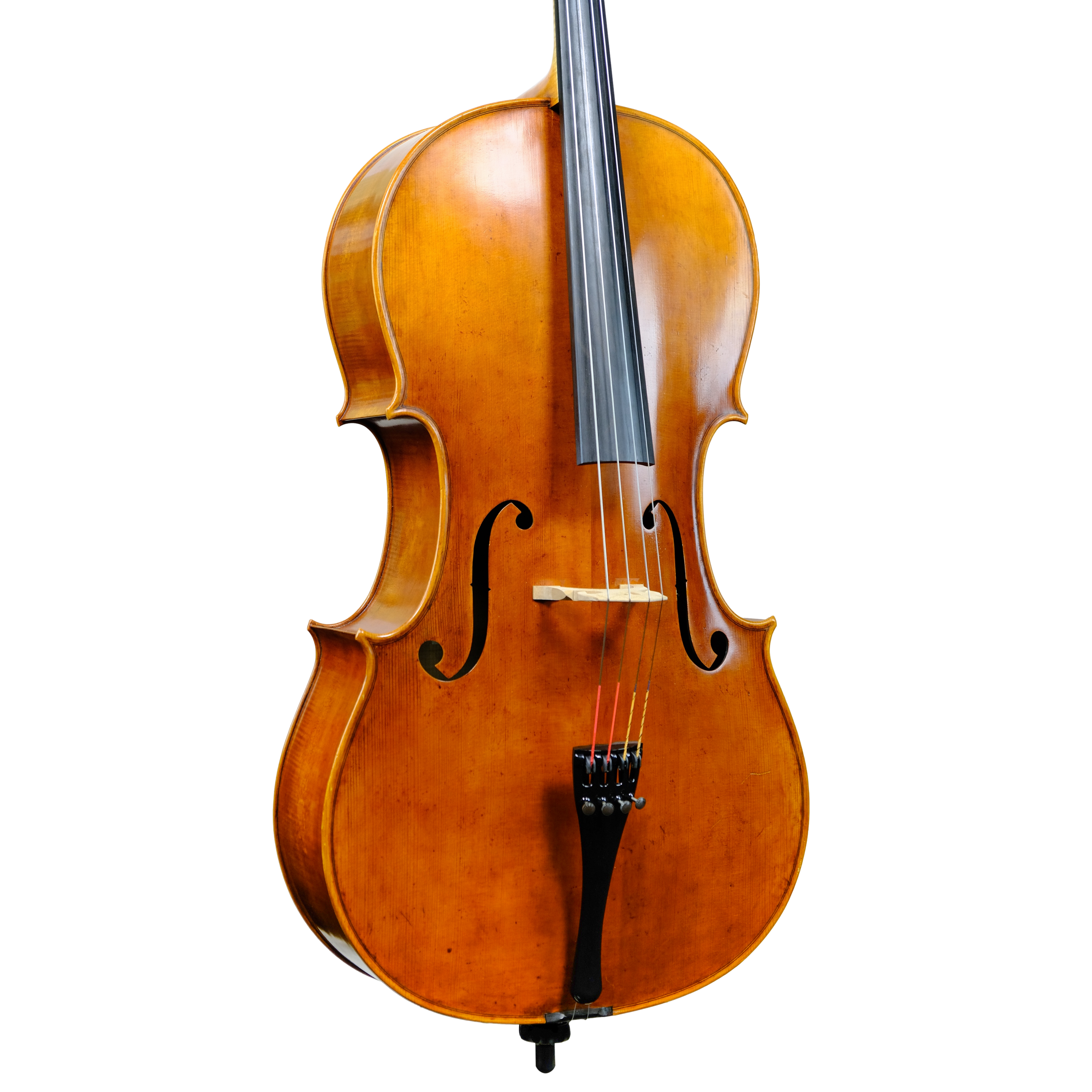 Cello - Enrico Bertoncini, Cremona