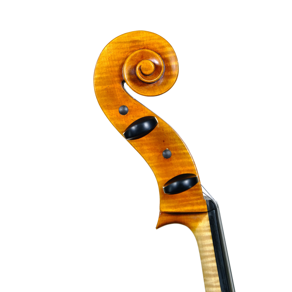 Cello - Enrico Bertoncini, Cremona