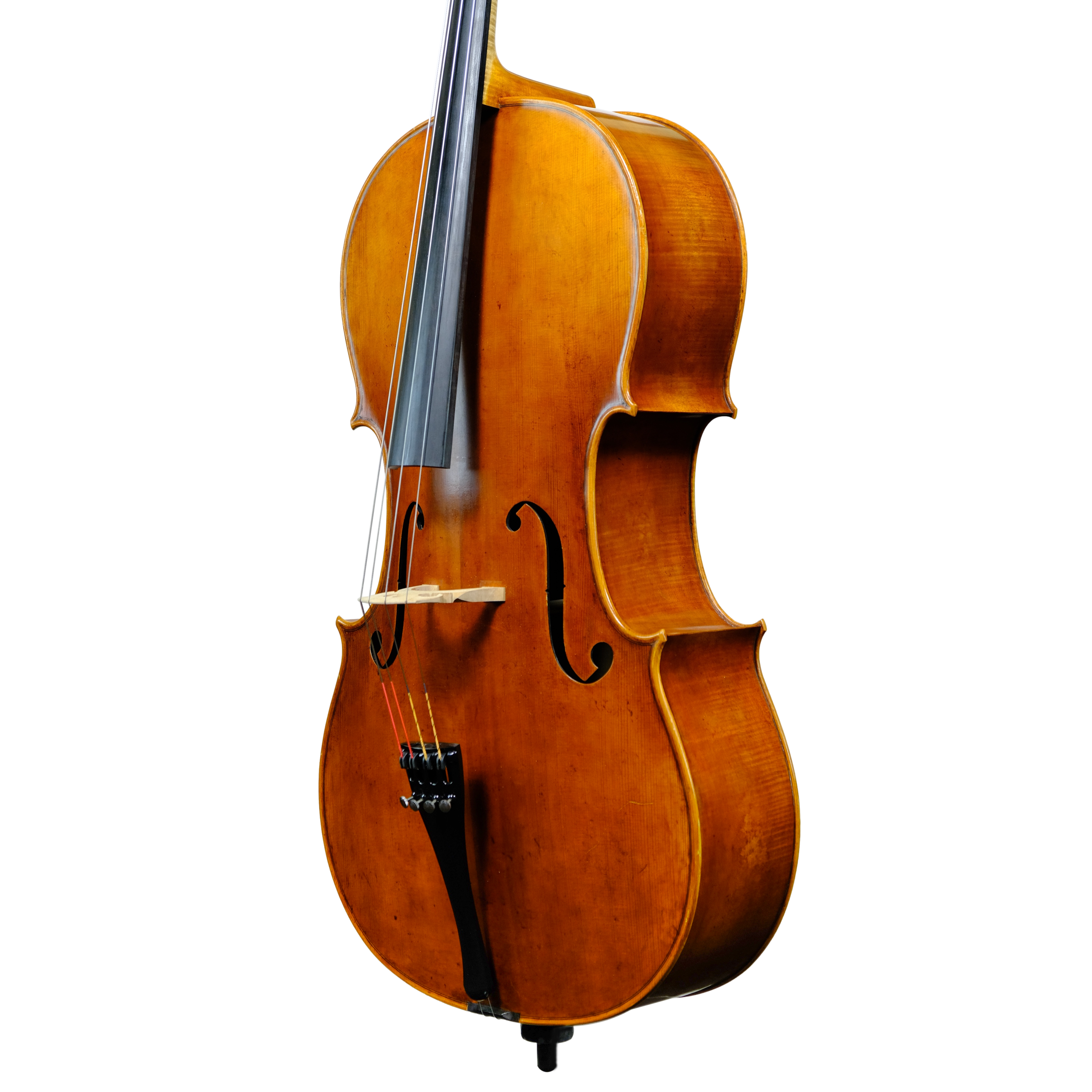Cello - Enrico Bertoncini, Cremona