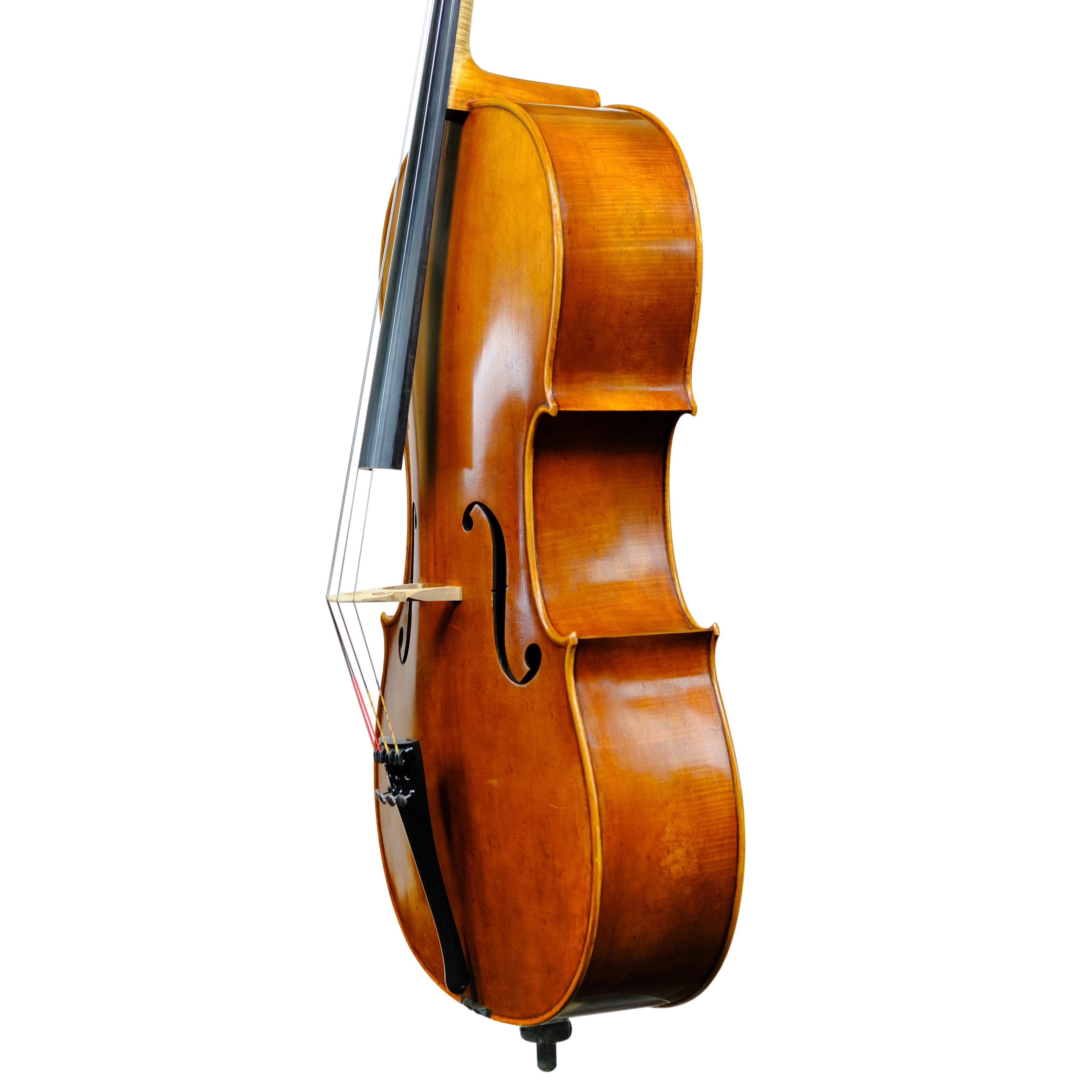 Cello - Enrico Bertoncini, Cremona