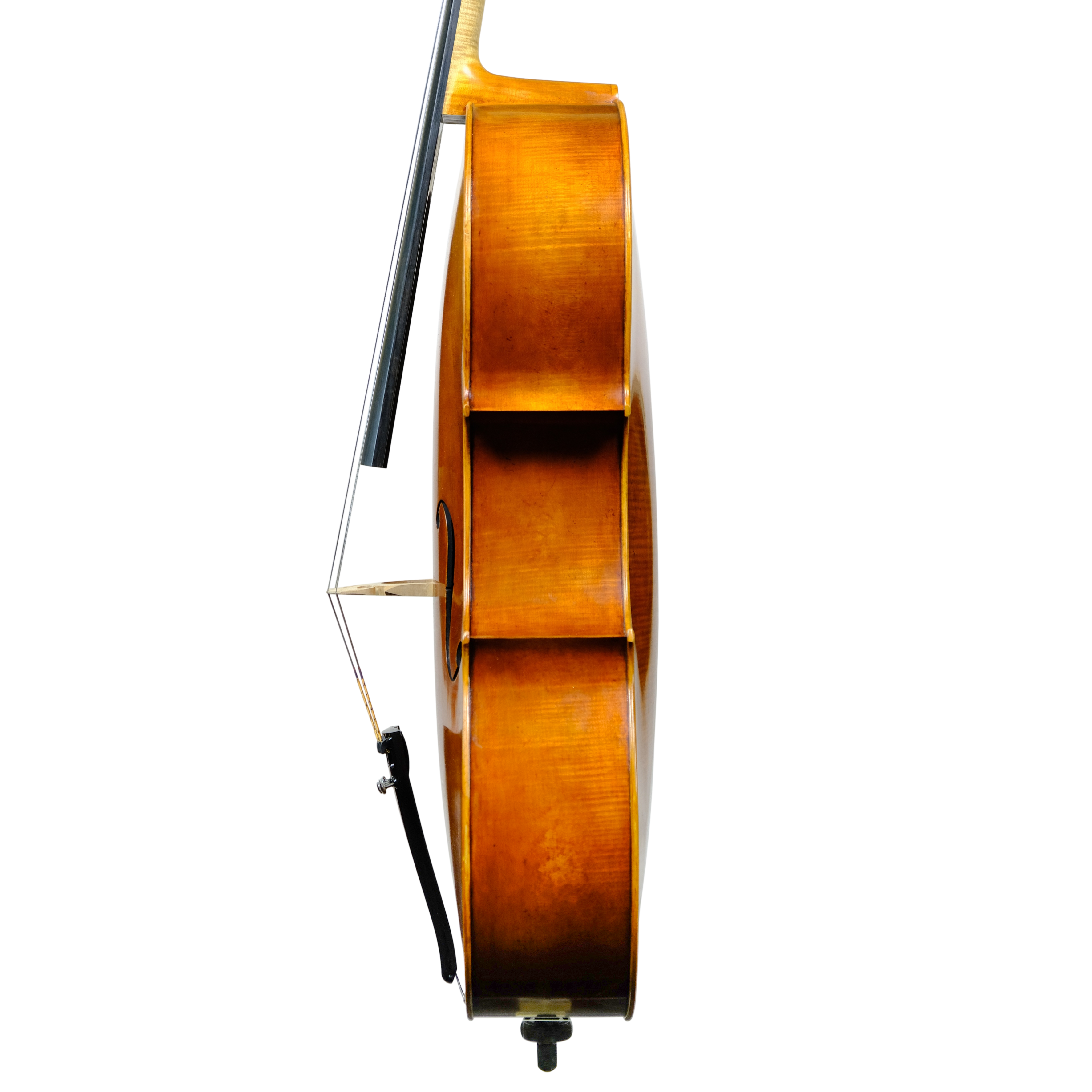 Cello - Enrico Bertoncini, Cremona