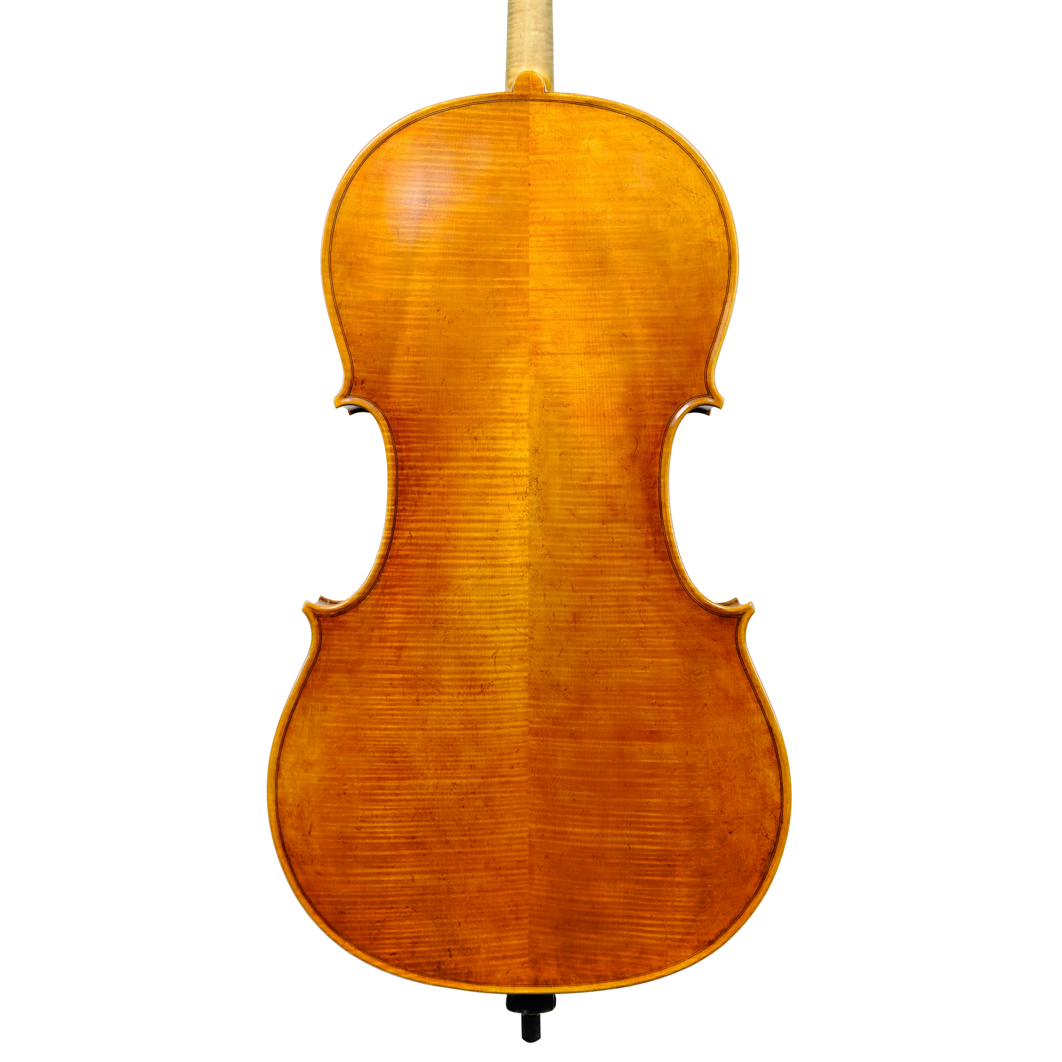 Cello - Enrico Bertoncini, Cremona
