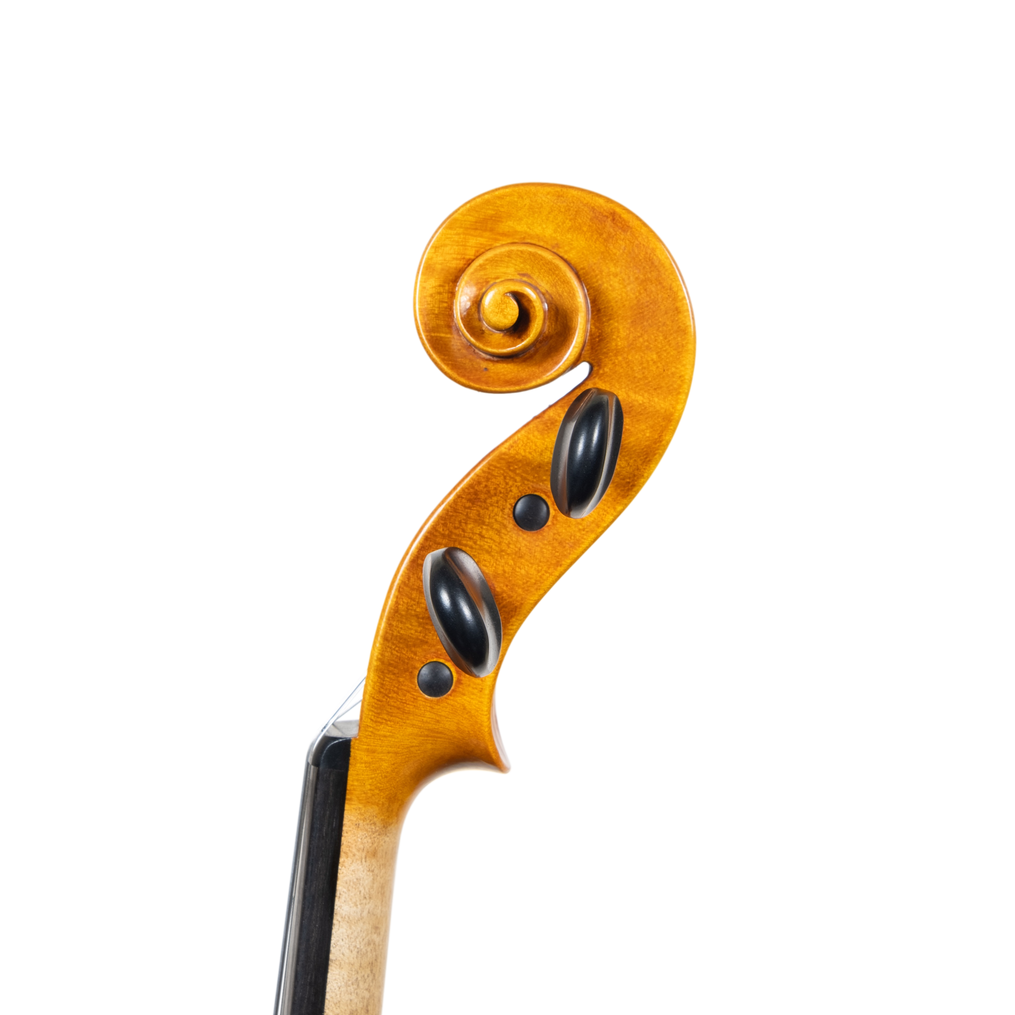 Violin - Arianna Endo, Amati, Cremona 2024