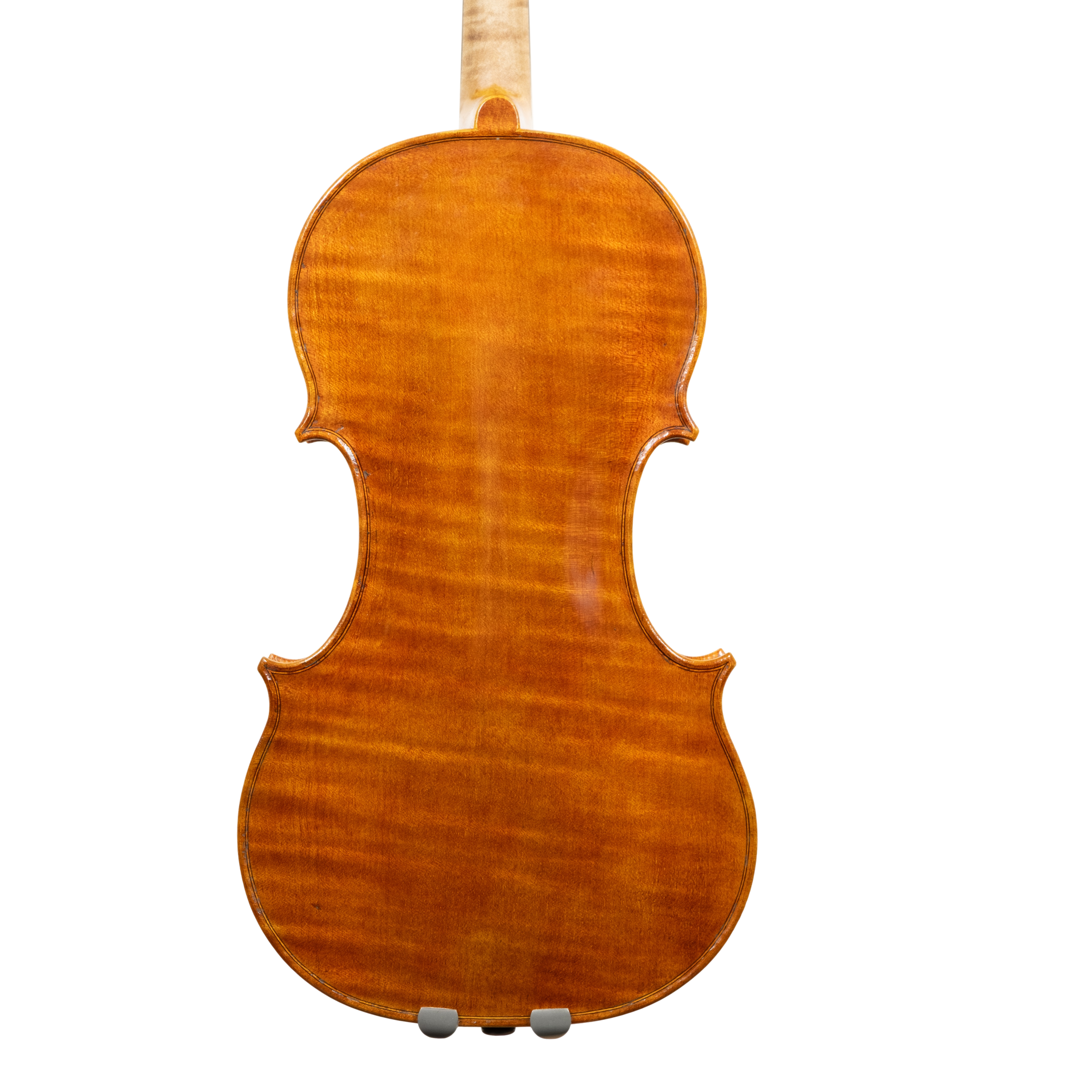 Violin - Erli Gurra, Amati, 2025