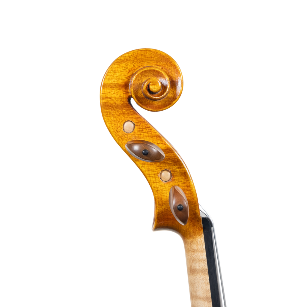 Violin - Linea Macchi, Stradivari Cremona 2025 "Fiume"