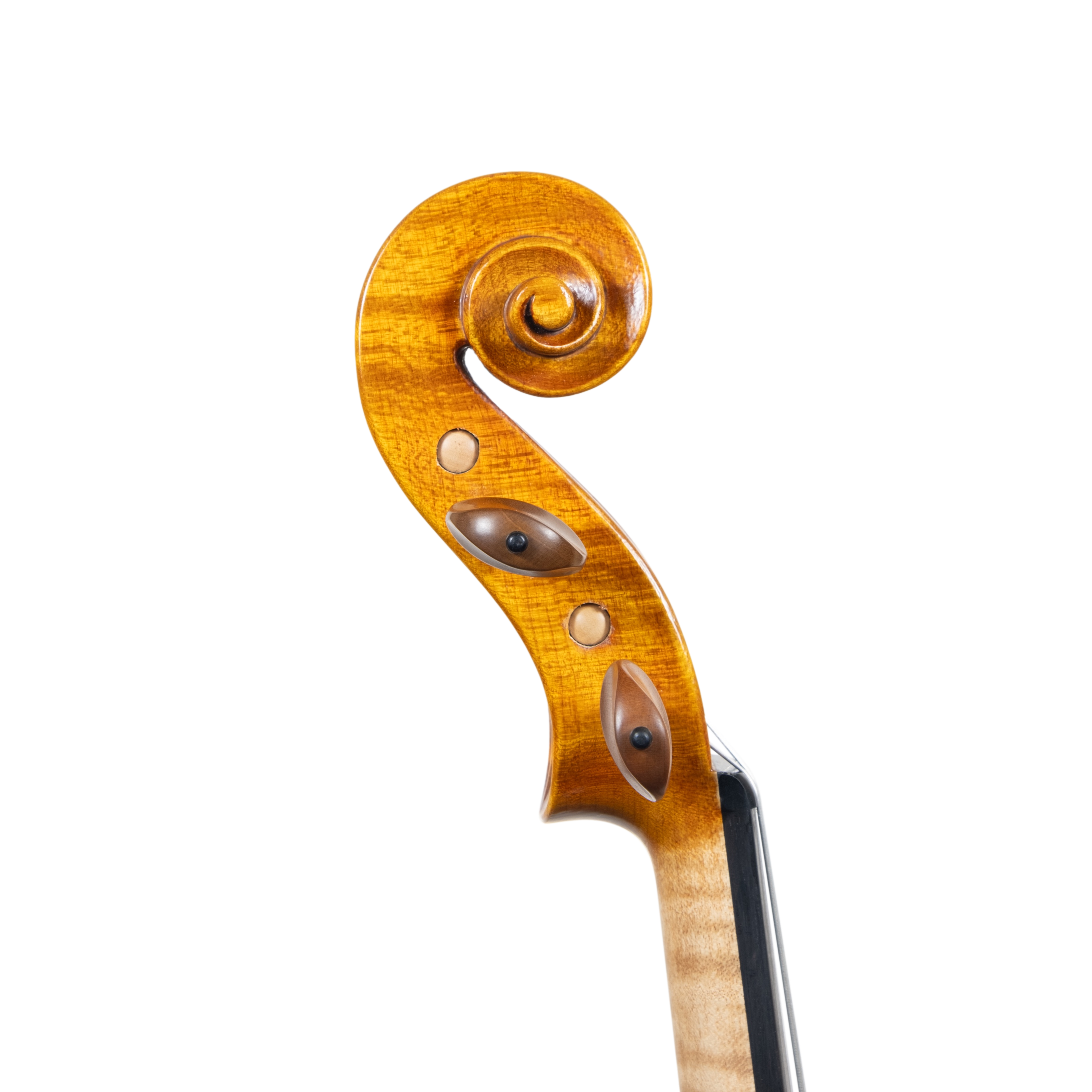 Violin - Linea Macchi, Stradivari Cremona 2025 "Fiume"