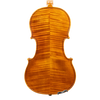 Violin - Linea Macchi, Stradivari Cremona 2025 "Fiume"