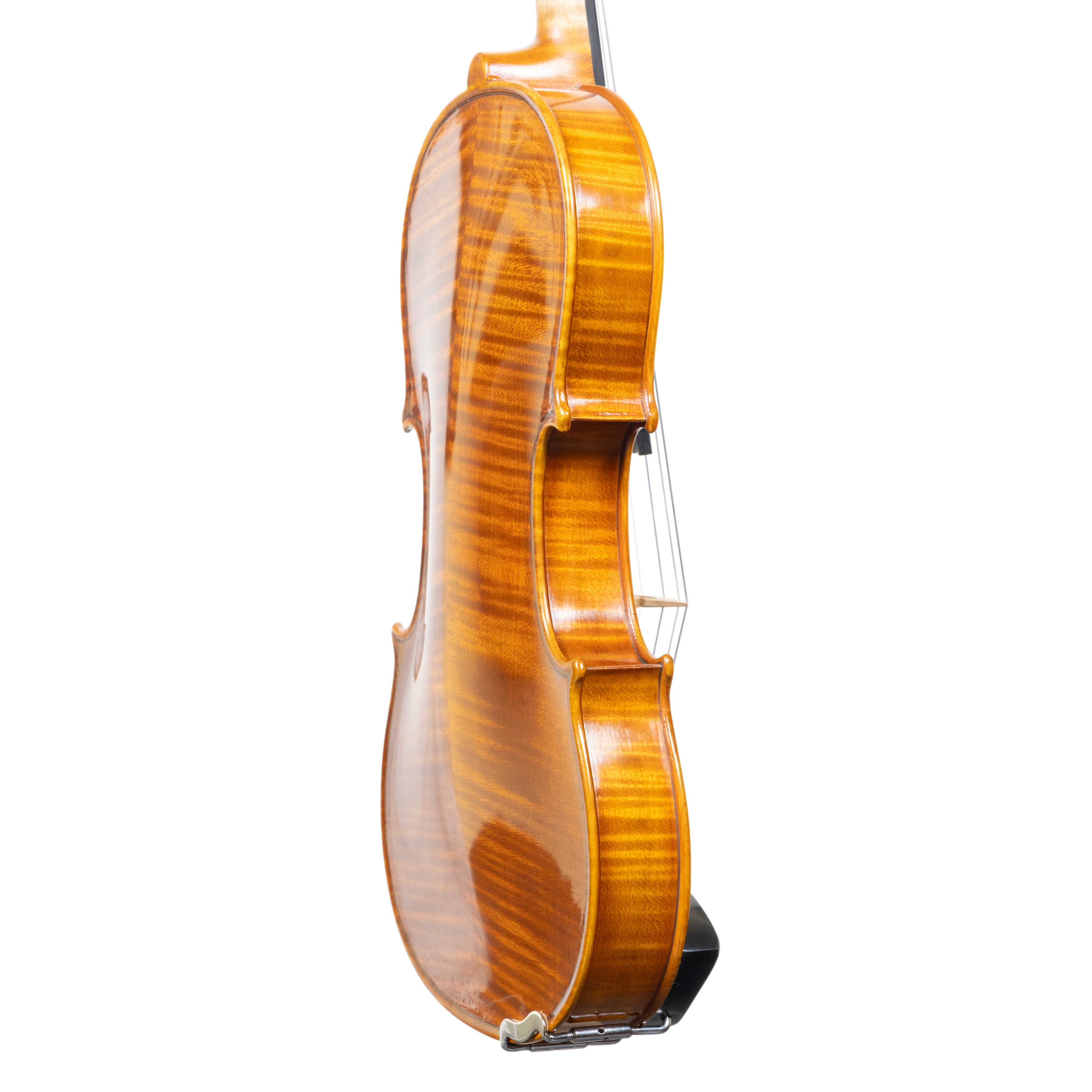Violin - Linea Macchi, Stradivari Cremona 2025 "Fiume"