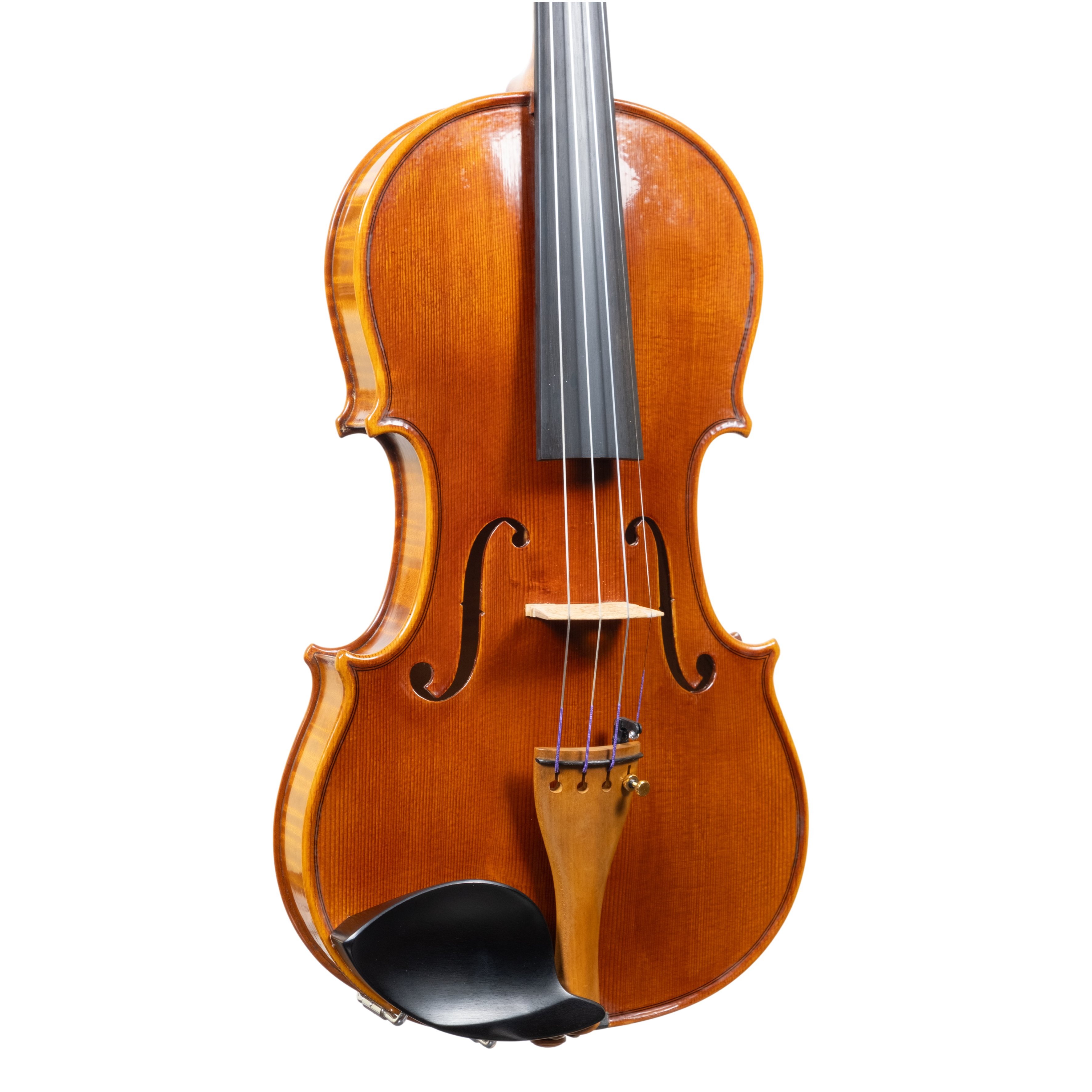 Violin - Linea Macchi, Stradivari Cremona 2025 "Fiume"