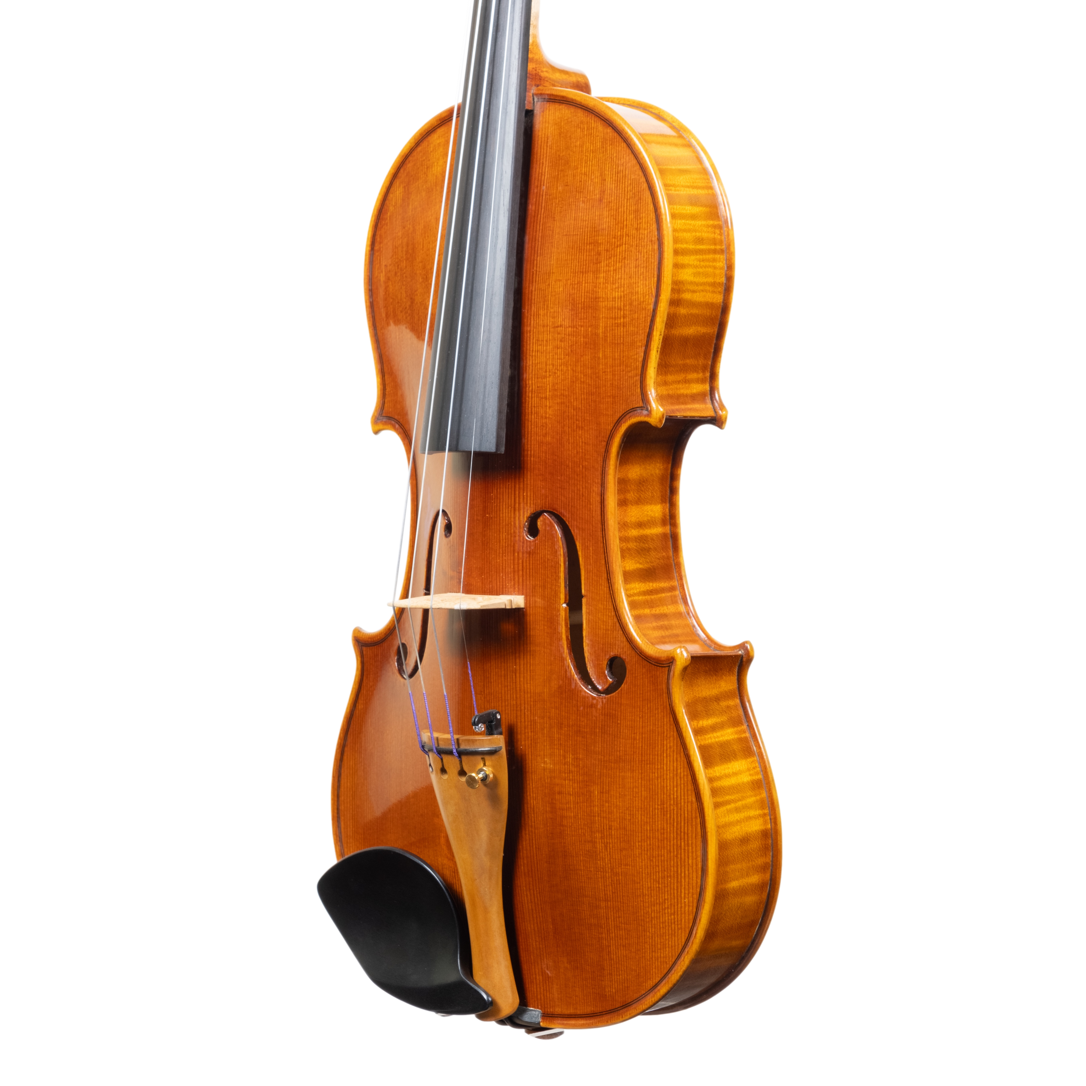 Violin - Linea Macchi, Stradivari Cremona 2025 "Fiume"