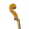 Violin - Linea Macchi, Guarneri "Lord Wilton" 2025