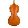 Violin - Fabrizio Fornara, Cremona 2016, 2