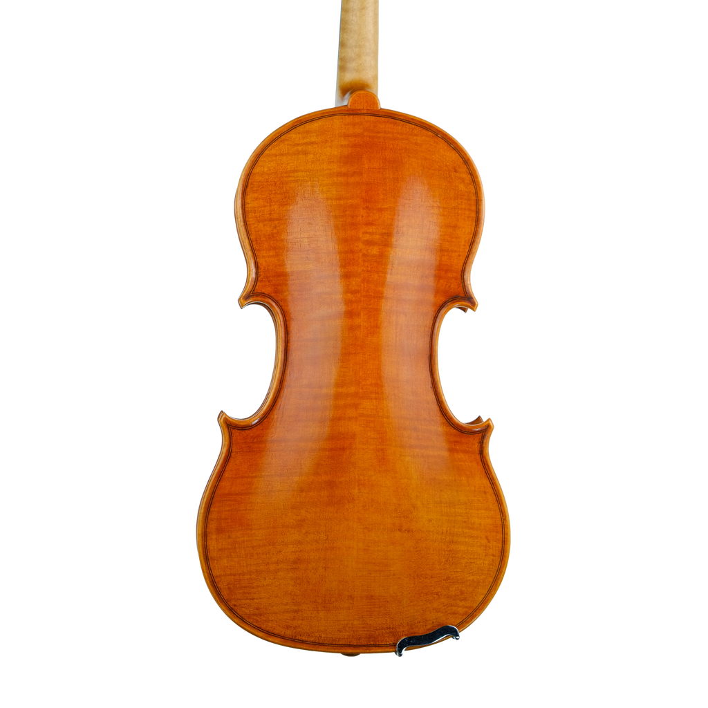 Violin - Fabrizio Fornara, Cremona 2016, 2