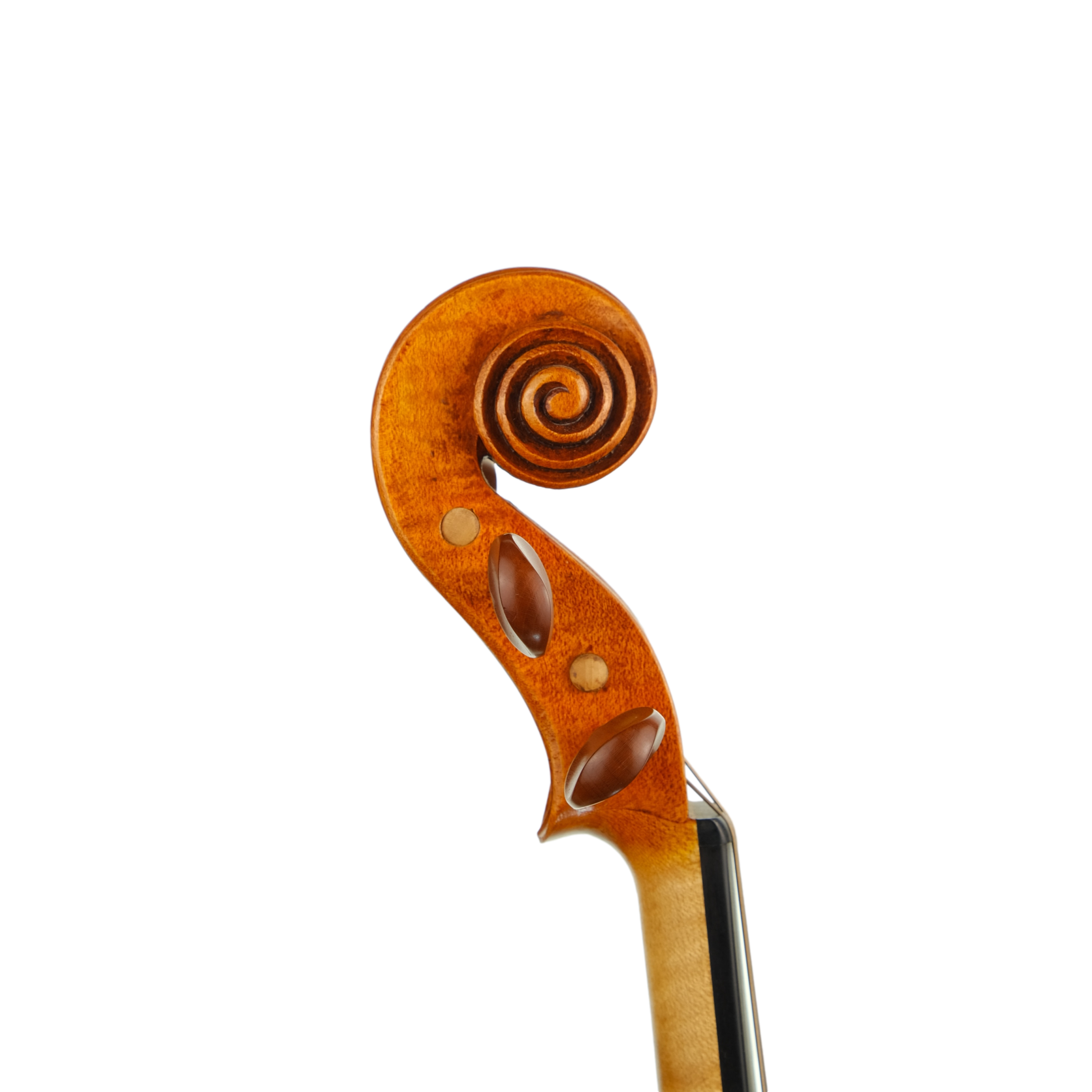 Violin - Fabrizio Fornara, Cremona 2016, 2