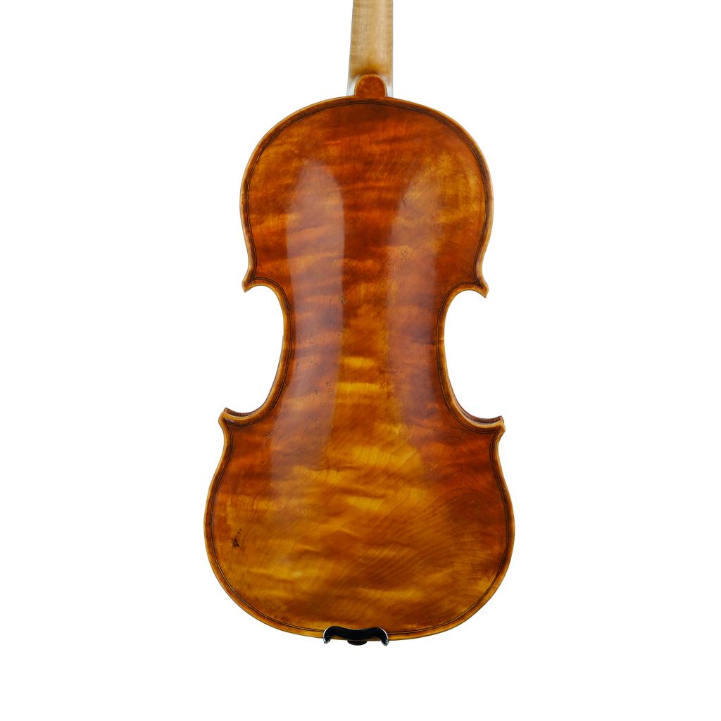 Violin - Fabrizio Fornara, Cremona 2016, 1