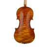 Violin - Fabrizio Fornara, Cremona 2016, 1