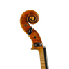Violin - Fabrizio Fornara, Cremona 2016, 1