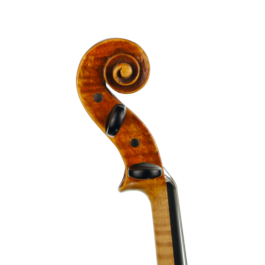 Violin - Fabrizio Fornara, Cremona 2016, 1