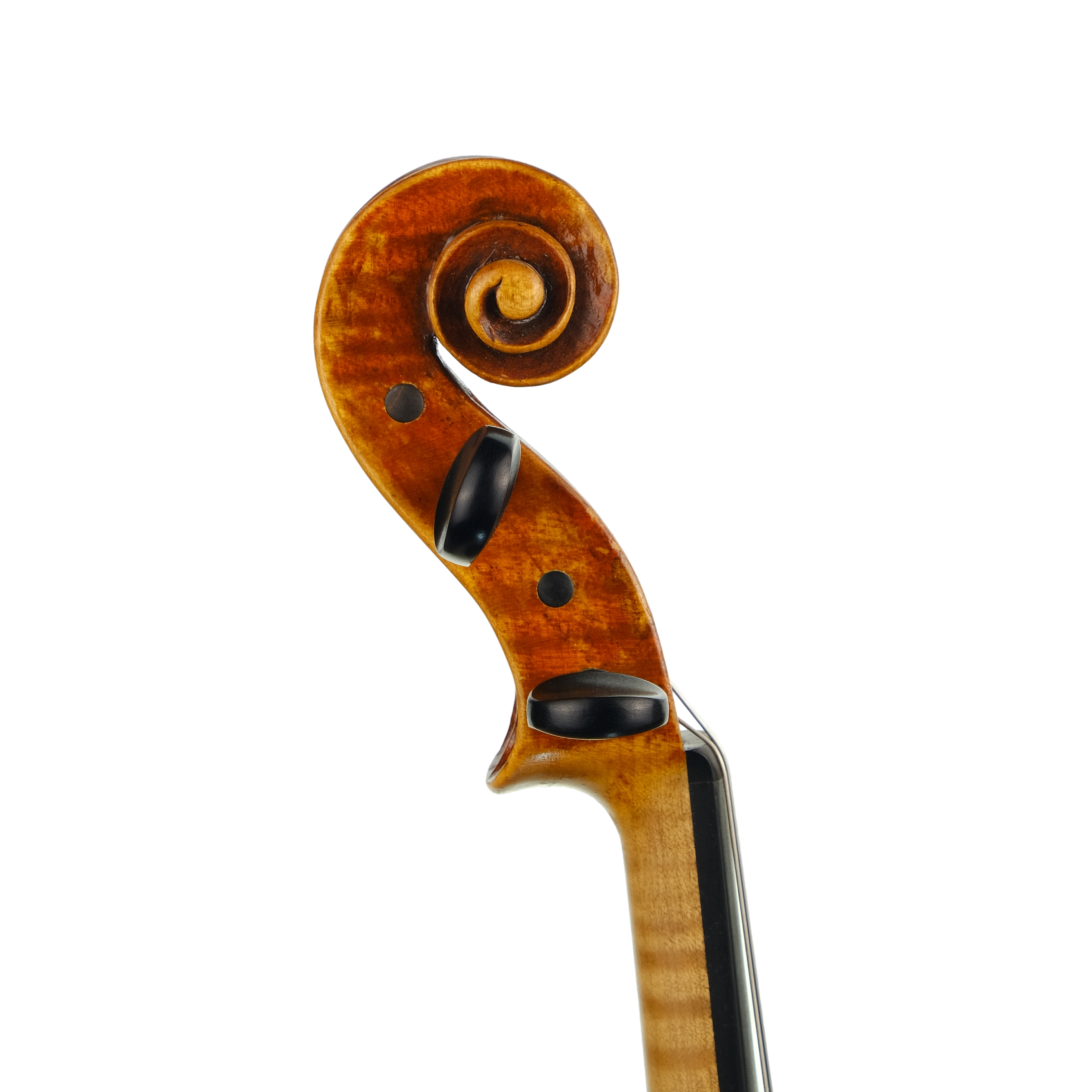 Violin - Fabrizio Fornara, Cremona 2016, 1
