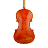 Viola 40,5cm - Mina Mazzolari, Cremona 2014