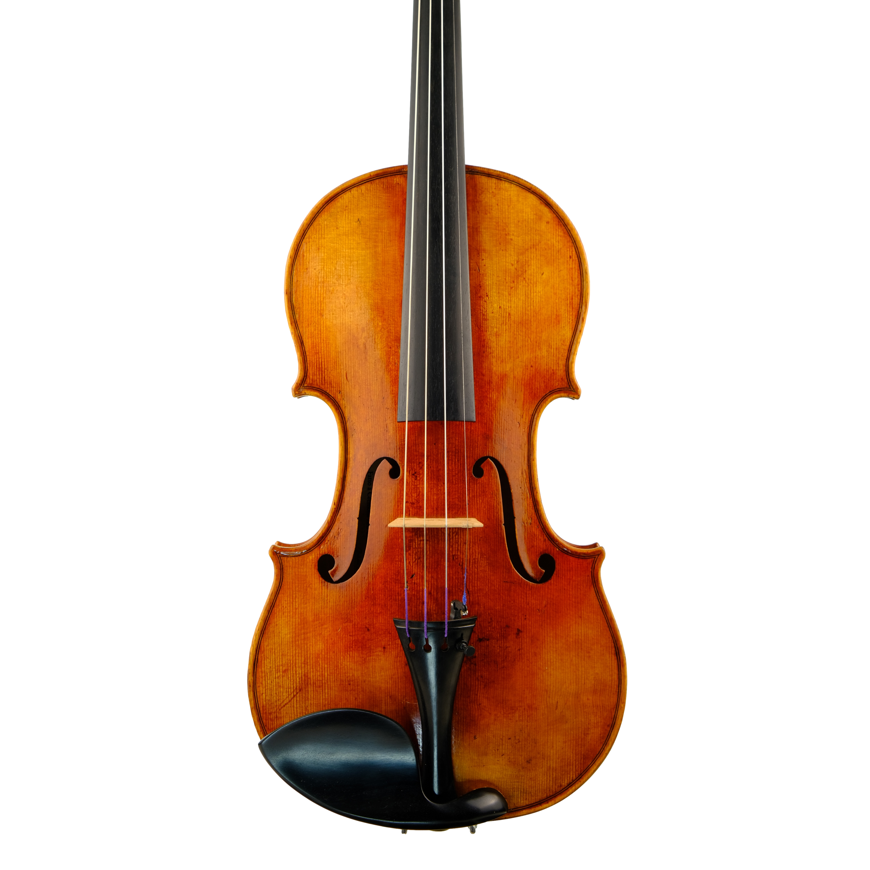 https://s1.pixriot.com/458919eb5d/Violin/Vo Ludovico Zanni St 2019 Body/Vo Ludovico Zanni St 2019 Body.xml?t=1674232421