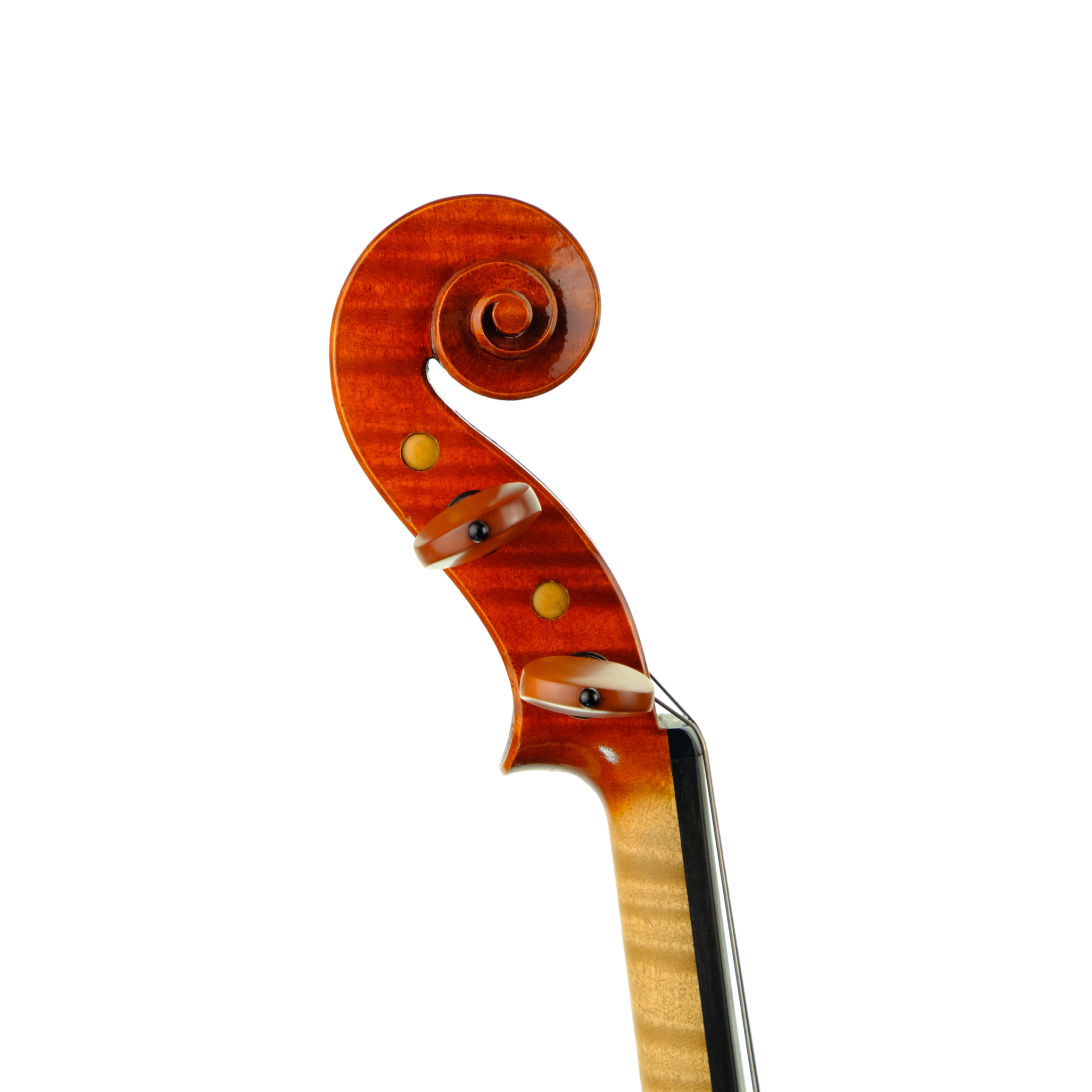 Violin - Anna Arietti, Cremona 2018