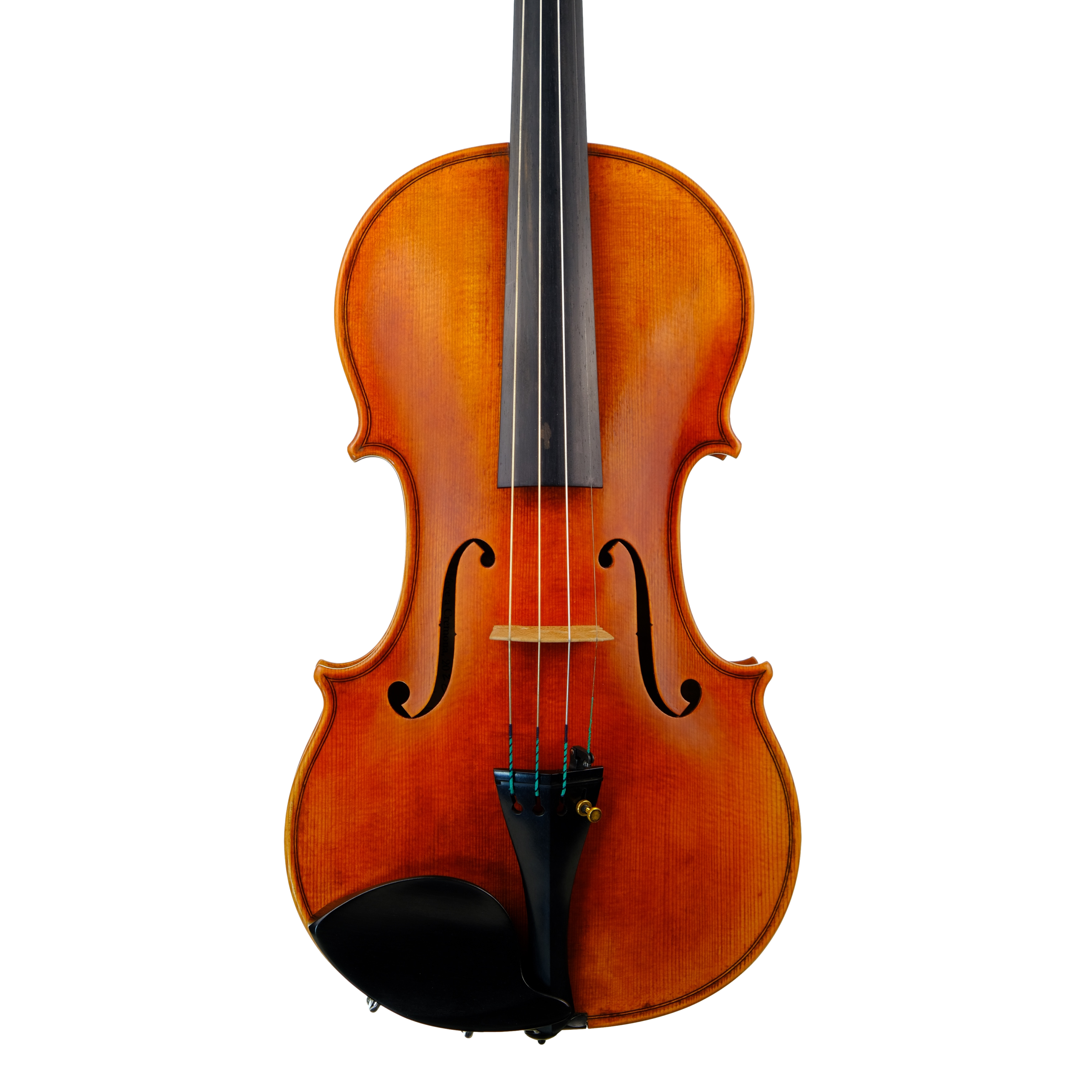 Violin Moltani 2022 body