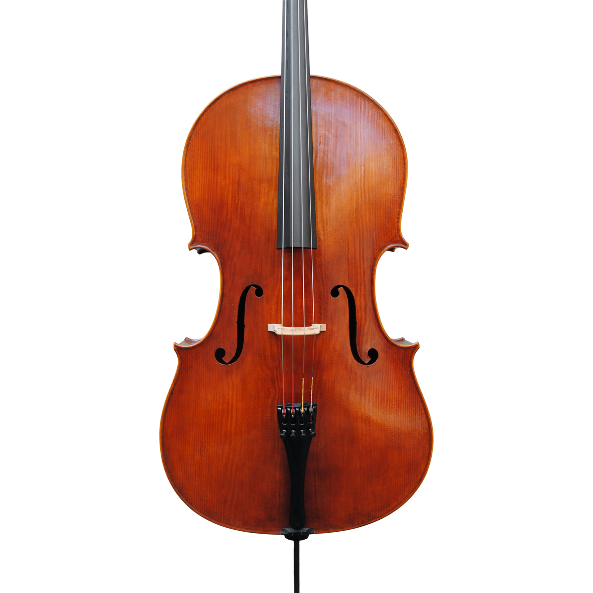 Cello - Edgar Russ, Copy of Domenico Montagnana 