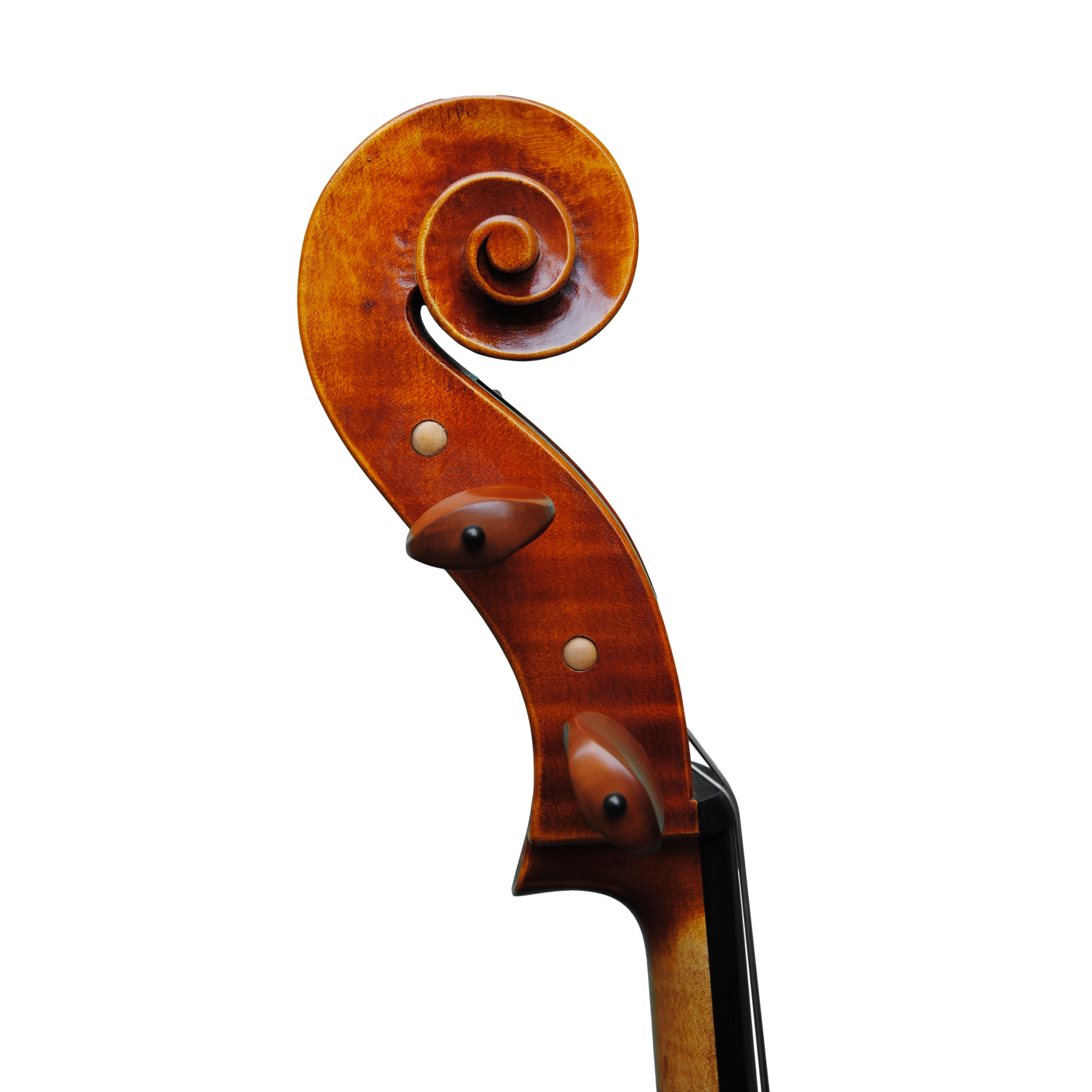 Cello - Linea Macchi, Domenico Montagnana