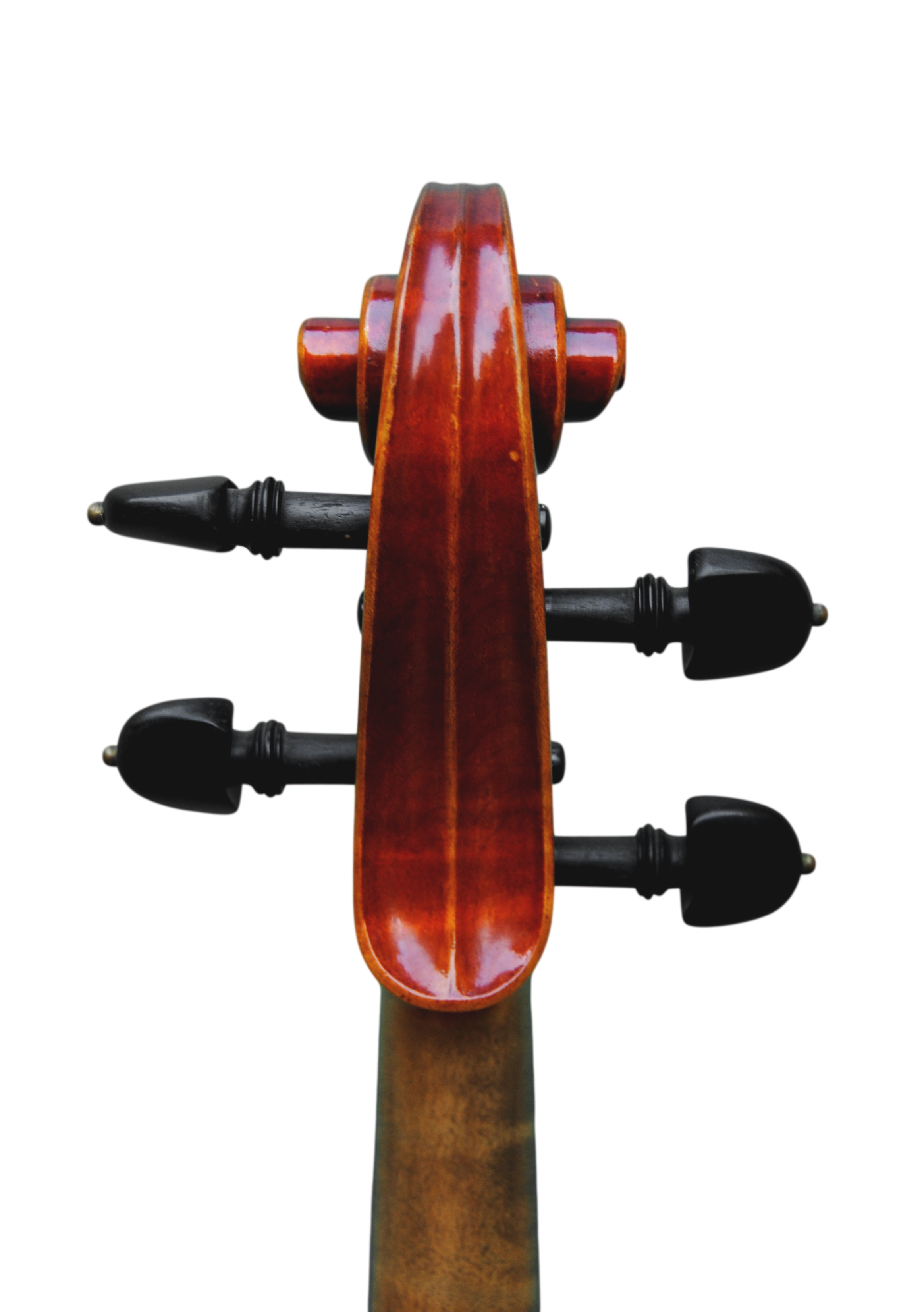 Viola 41,5cm