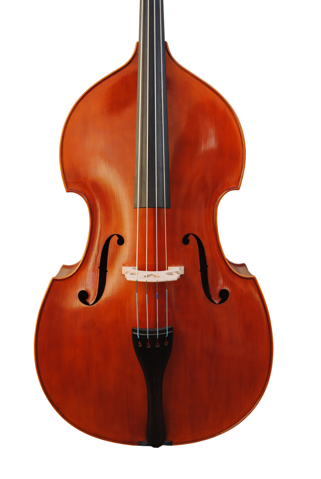 Doublebass - Scala Perfetta