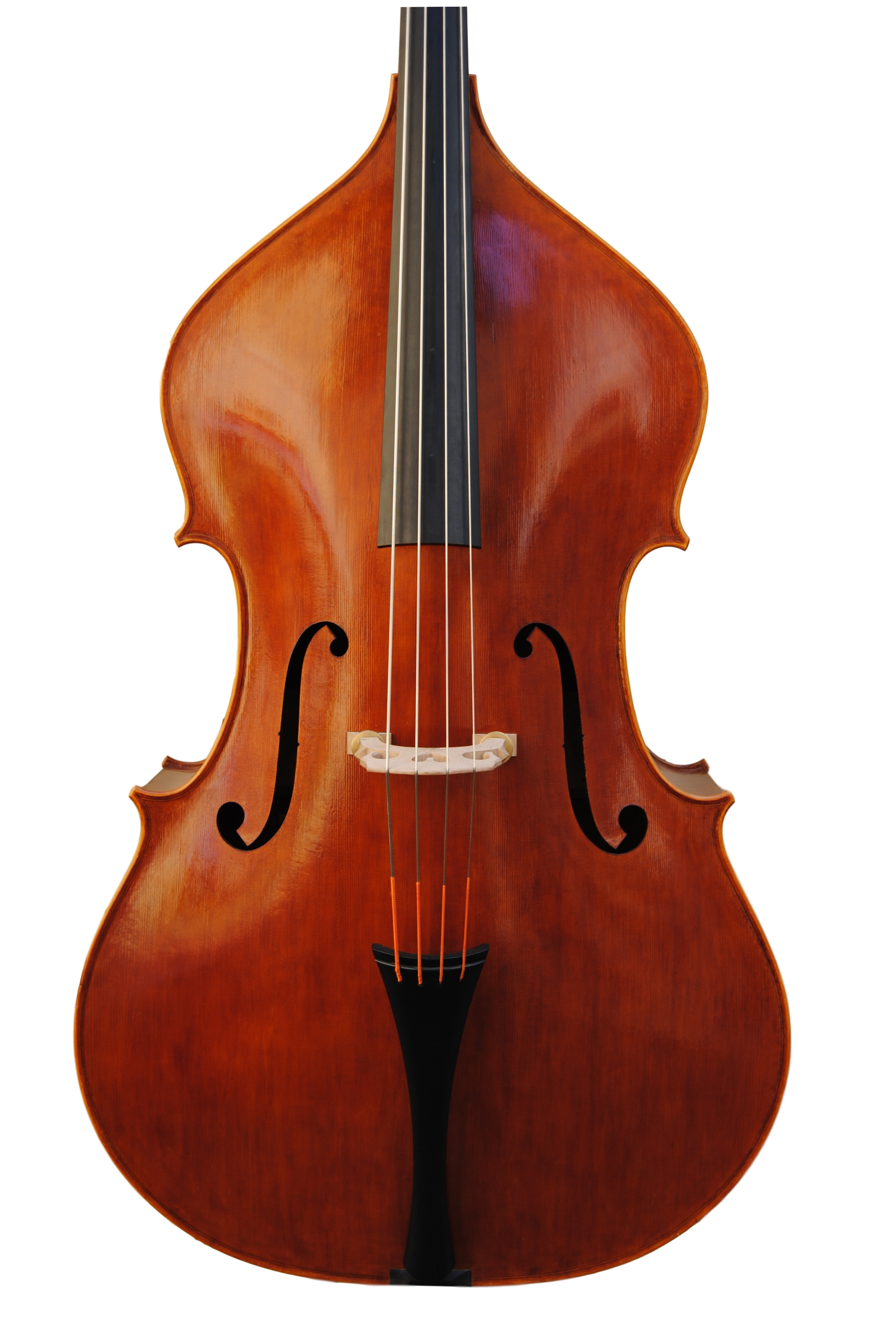 A vision of a Edgar Russ' doublebass