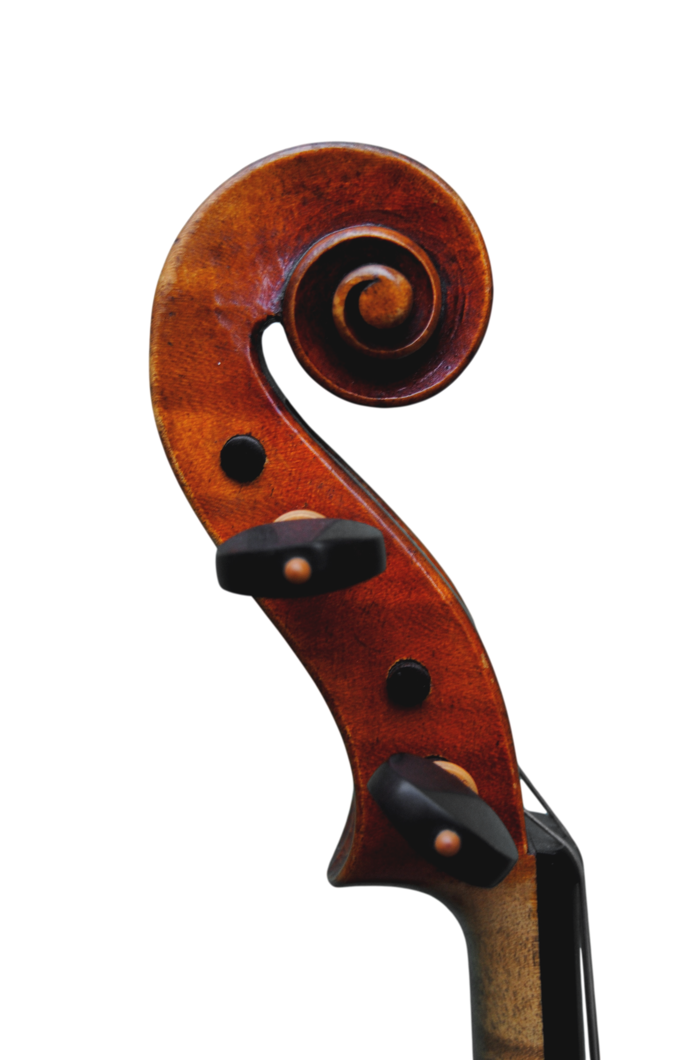 99 violin shop best sale