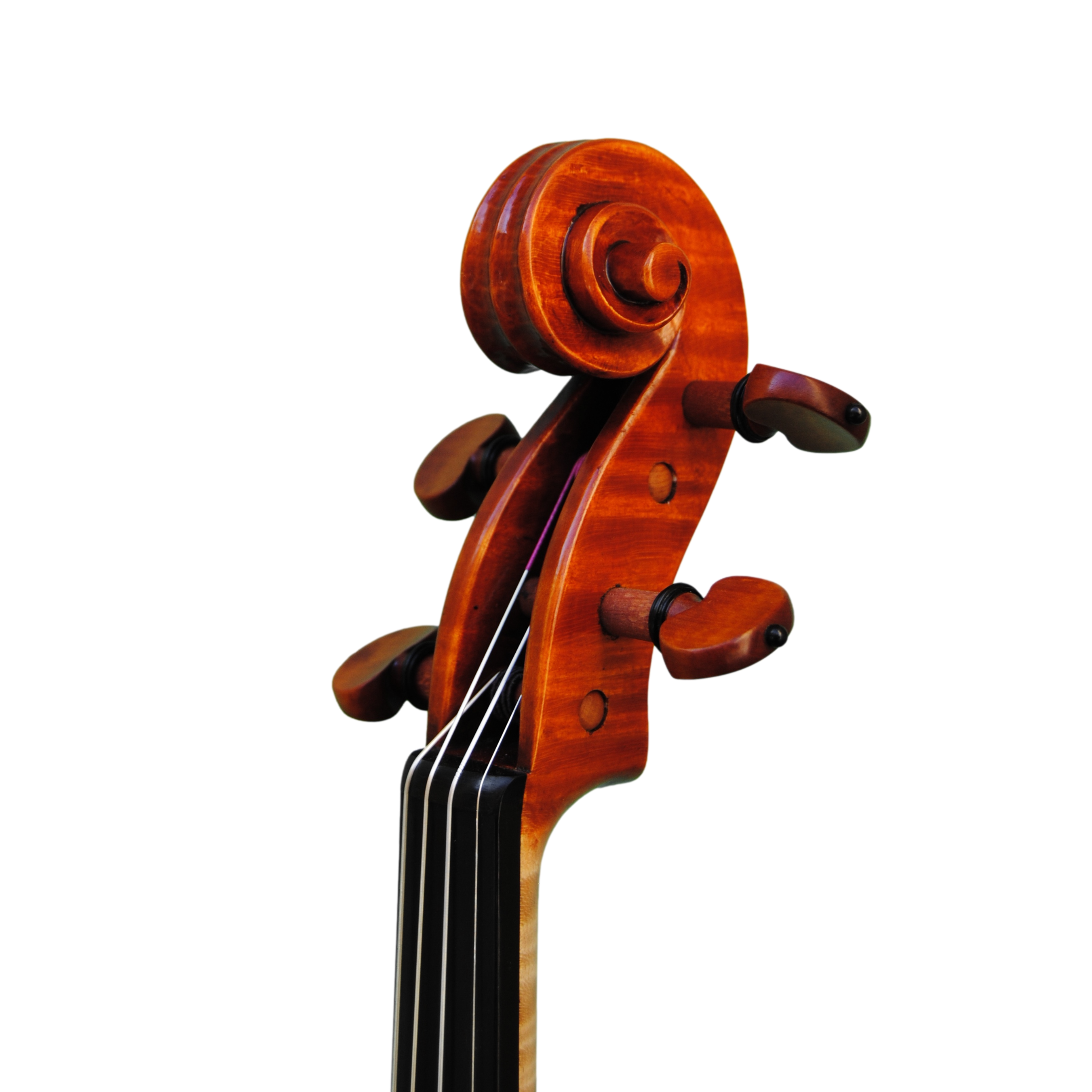 Violin - Edgar Russ, mod. Eros, Cremona 2022