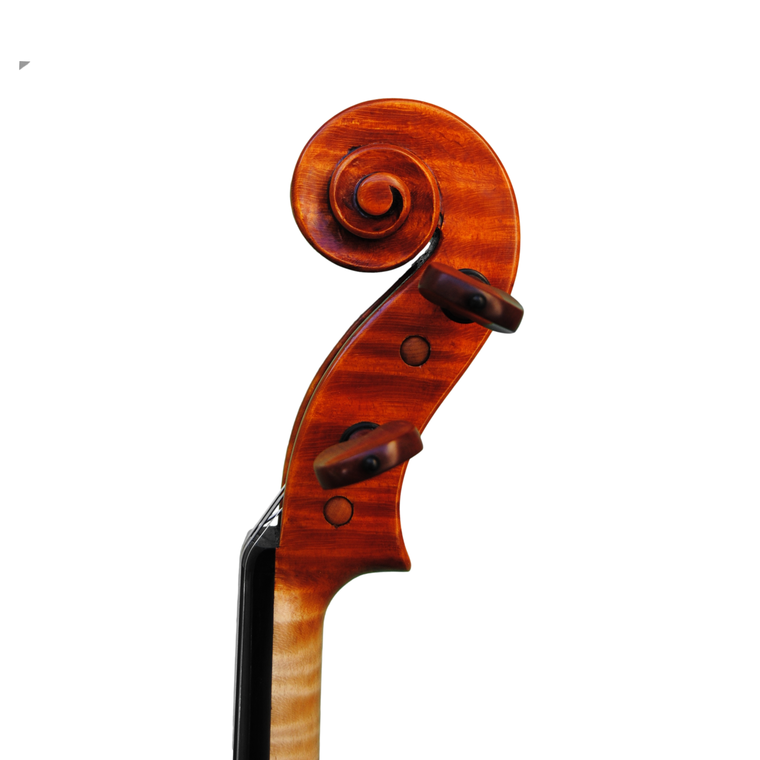 Violin - Edgar Russ, mod. Eros, Cremona 2022