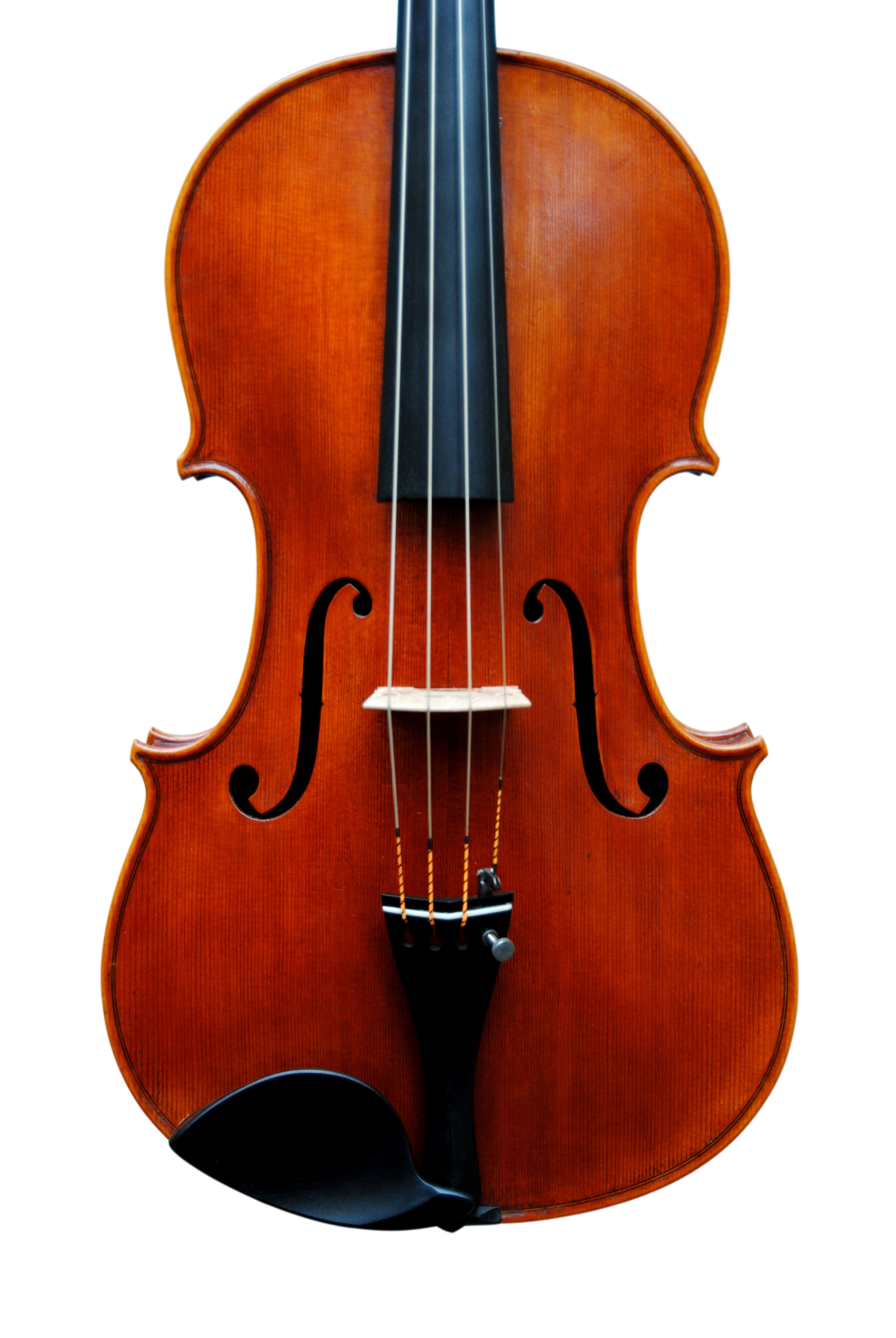 Viola 41,5cm, Copy of Mantegazza