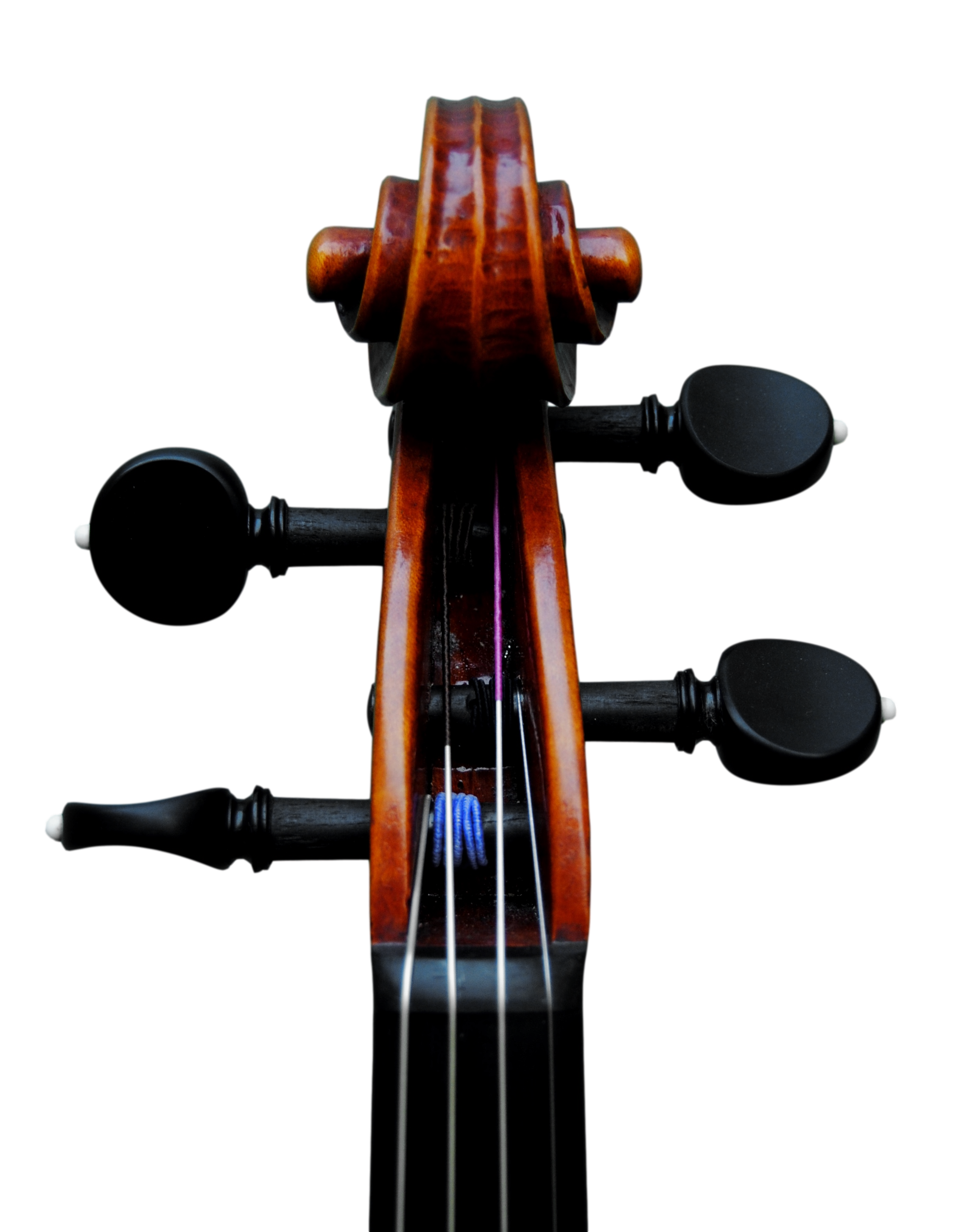 Viola 41,5cm, Copy of Mantegazza