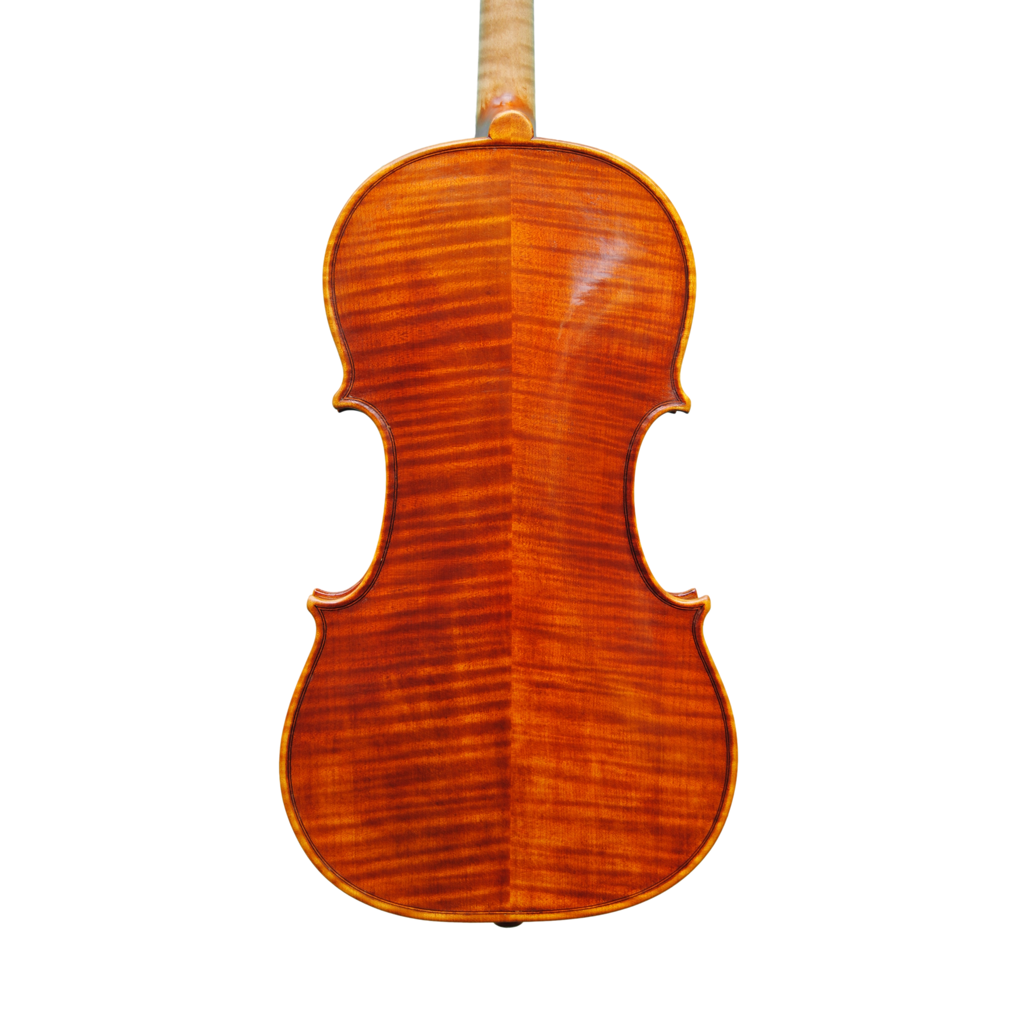 Violin - Linea Macchi, Guarneri "Lord Wilton"