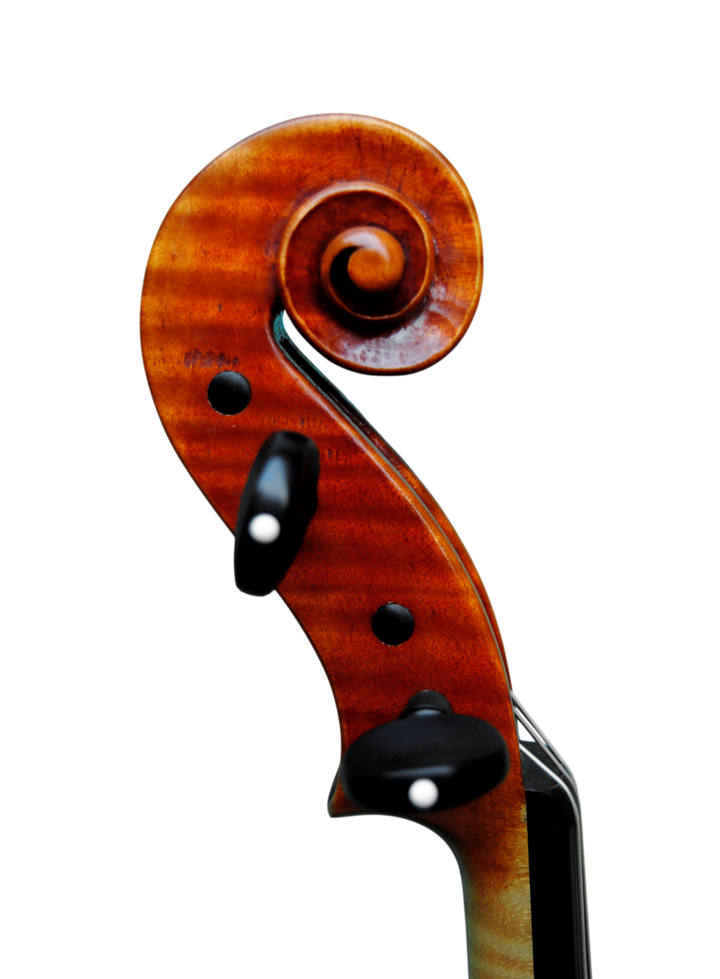 Viola 41,5cm, Copy of Mantegazza