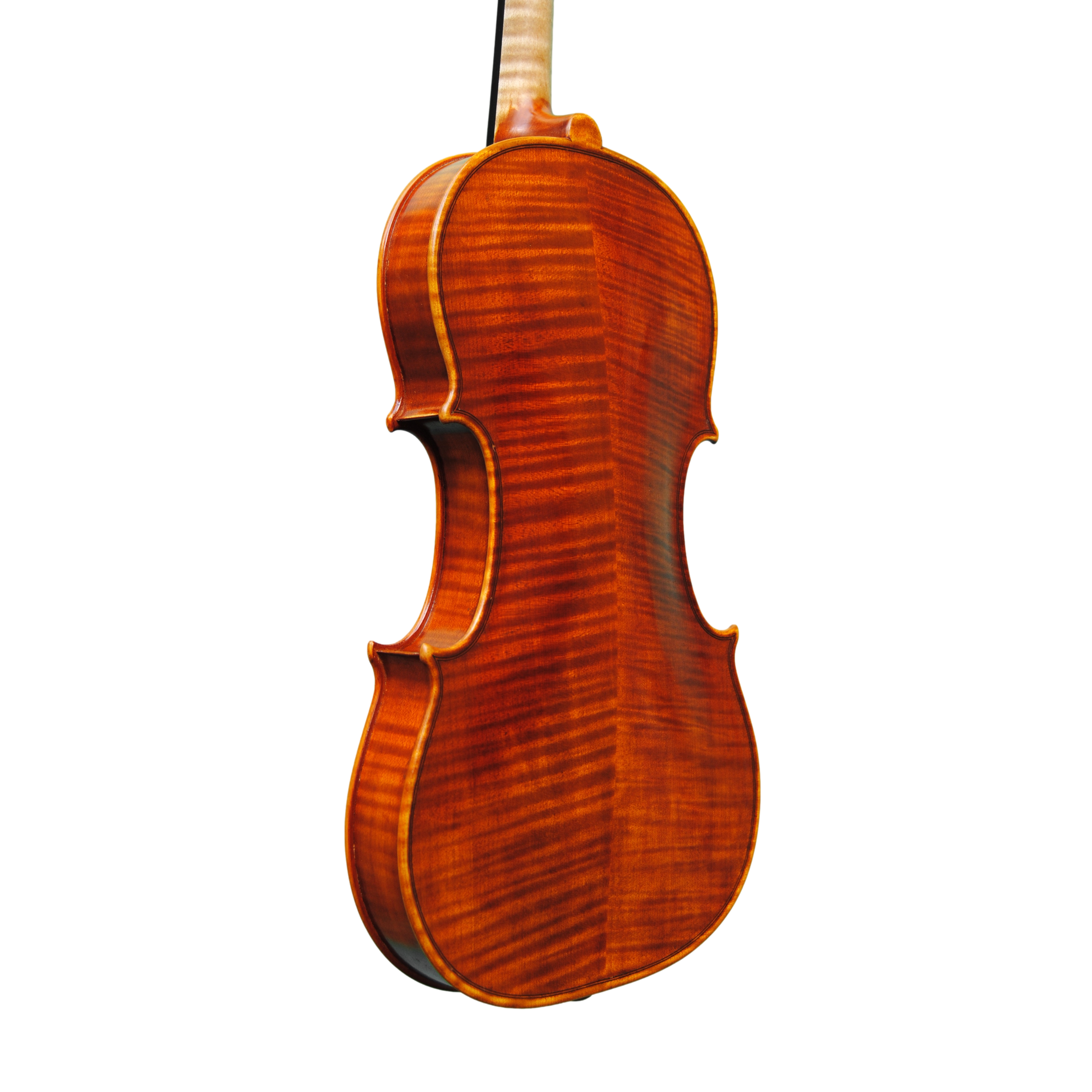Violin - Linea Macchi, Guarneri "Lord Wilton"