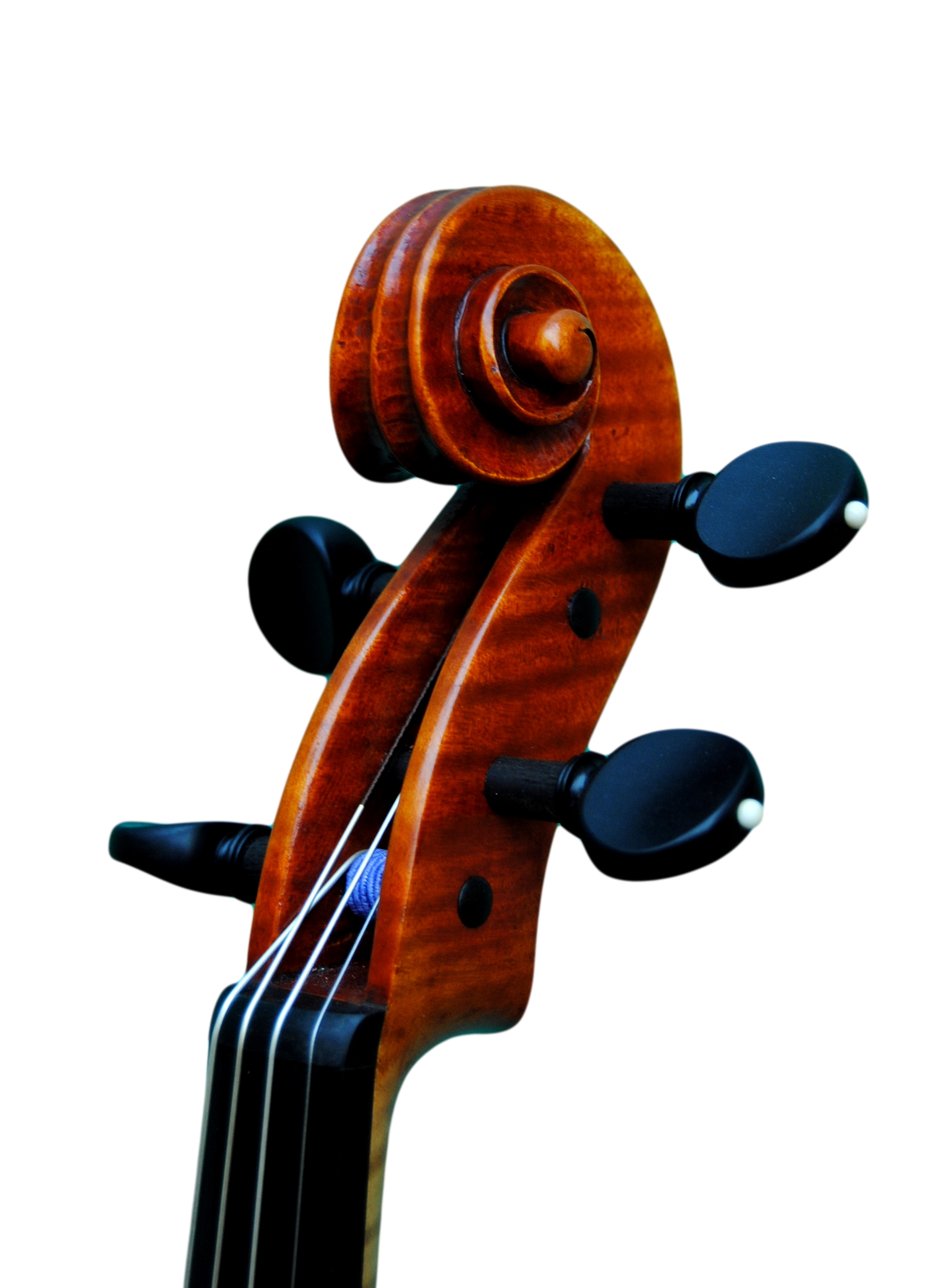 Viola 41,5cm, Copy of Mantegazza