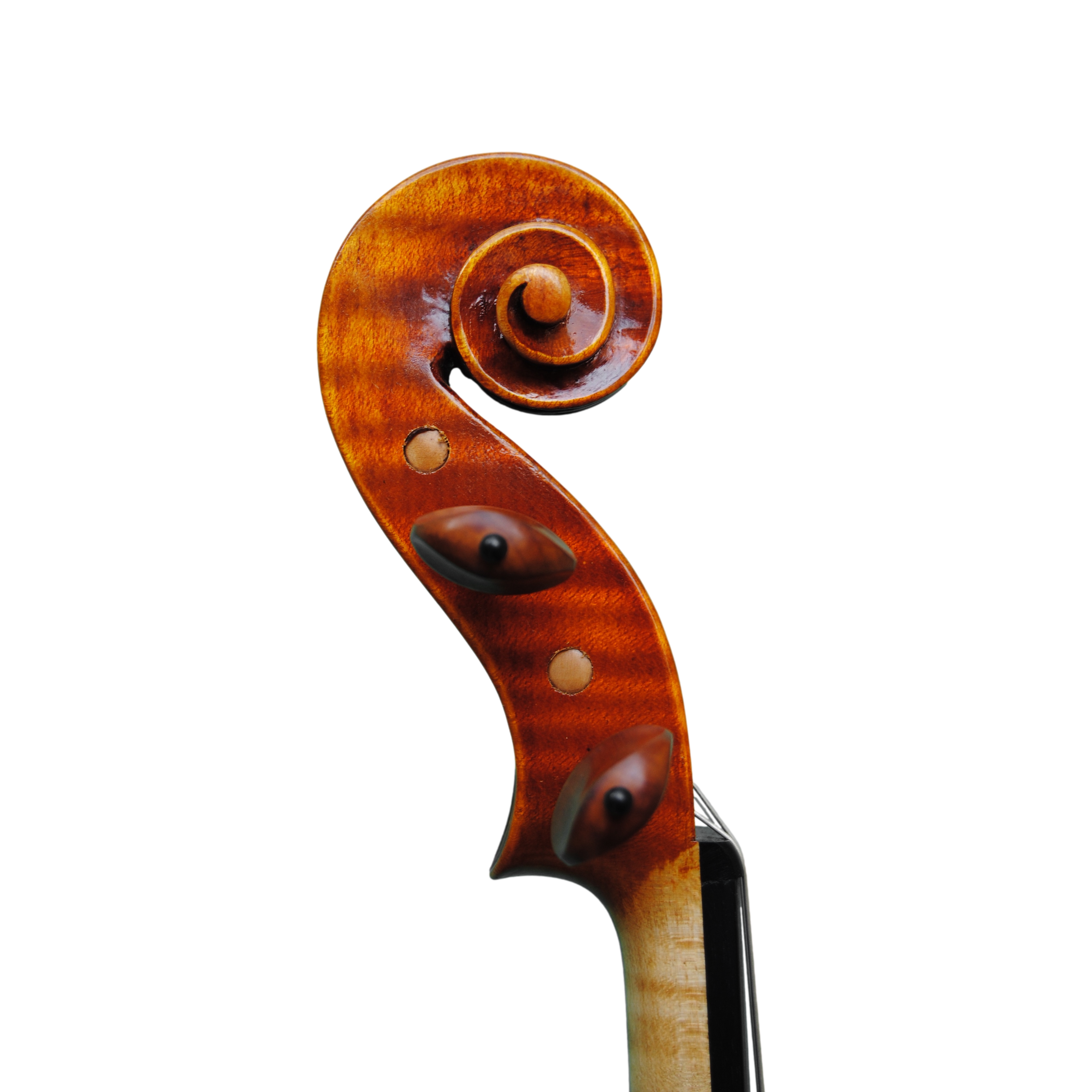 Violin - Linea Macchi, Guarneri "Lord Wilton"