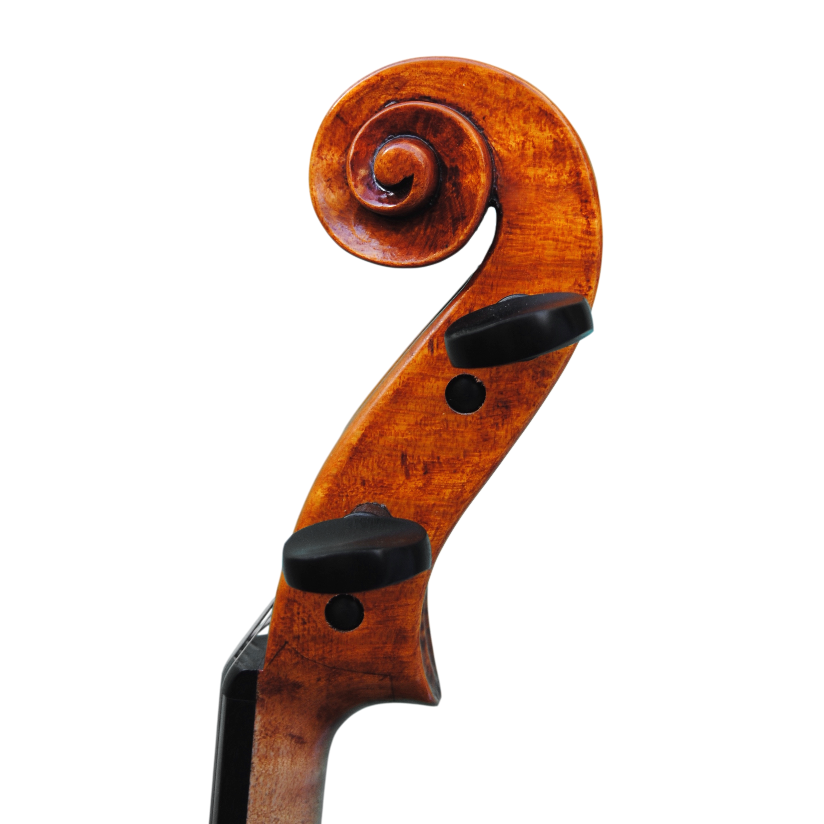 Testore violin price on sale