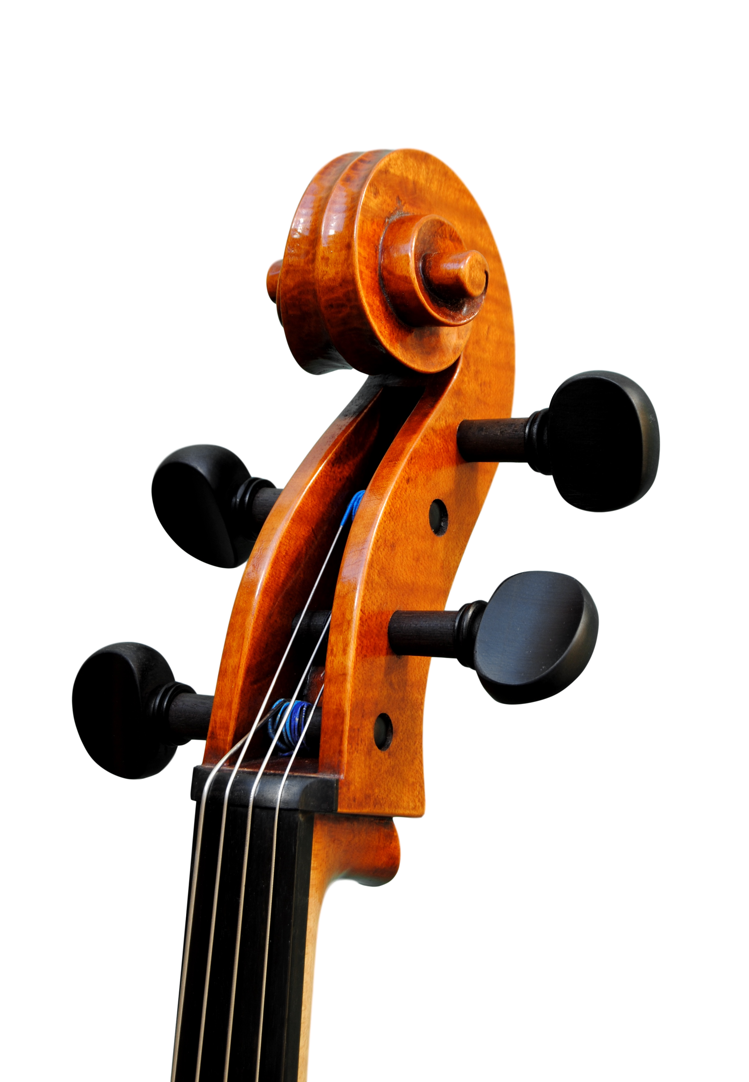 Cello  7/8  - Edgar Russ, Francesco Ruggeri, Cremona 2020