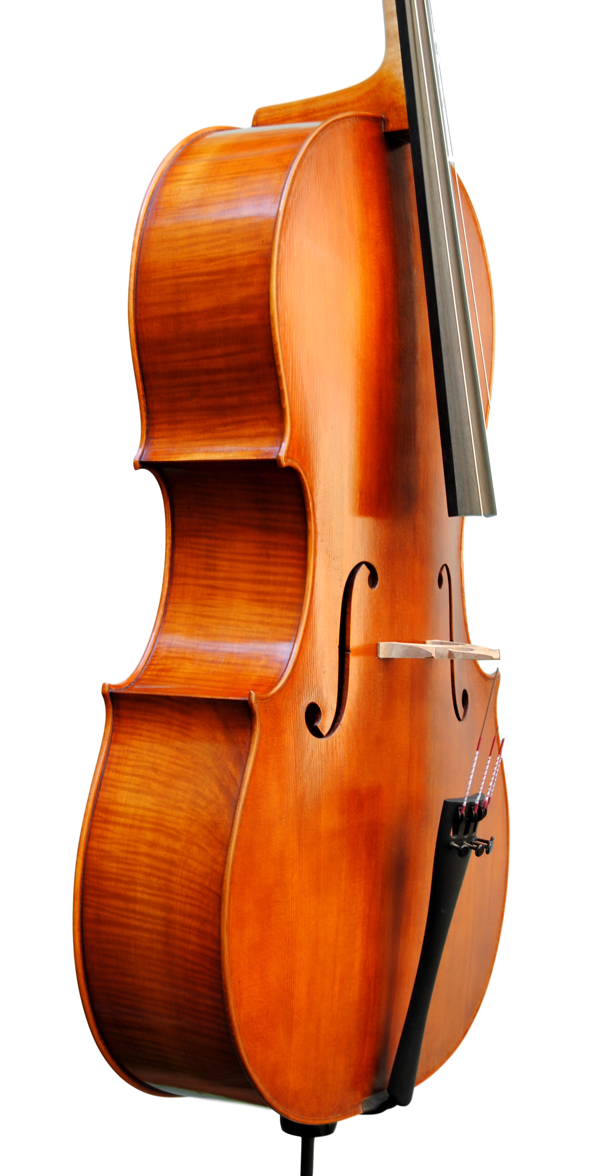 Cello 2020 shop