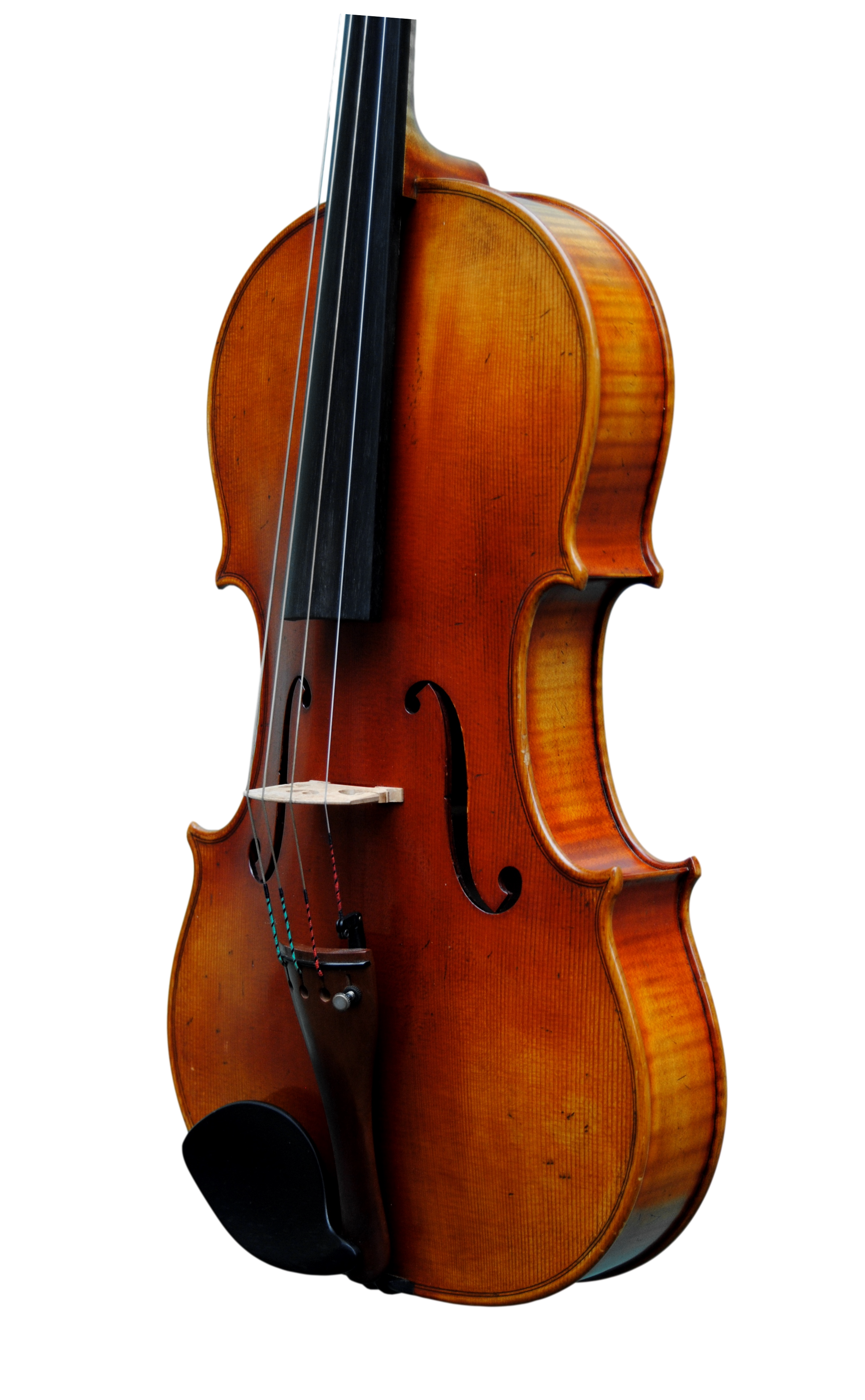 Viola 40,5cm - Linea Macchi, Cremona 2015