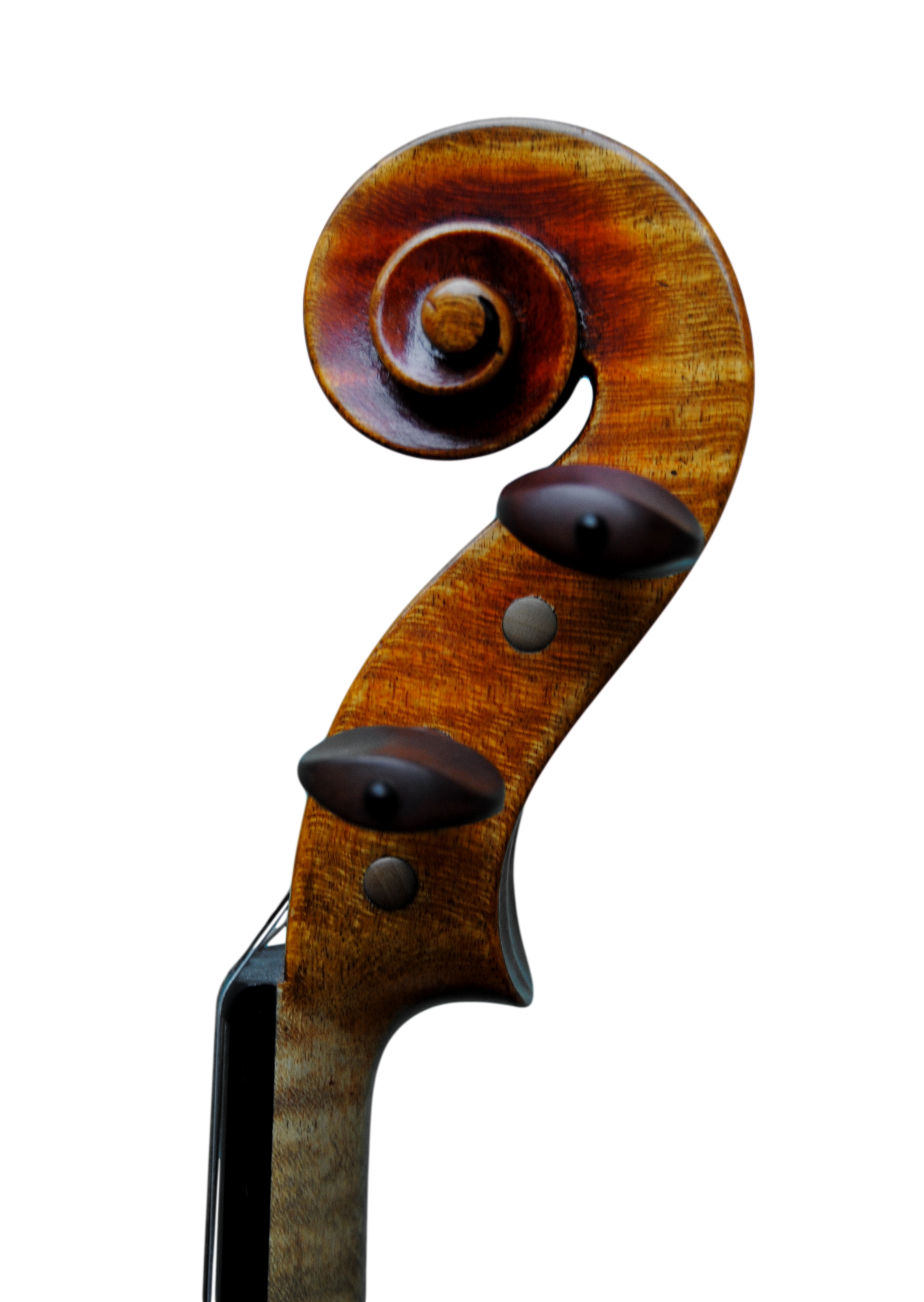 Viola 40,5cm - Linea Macchi, Cremona 2015